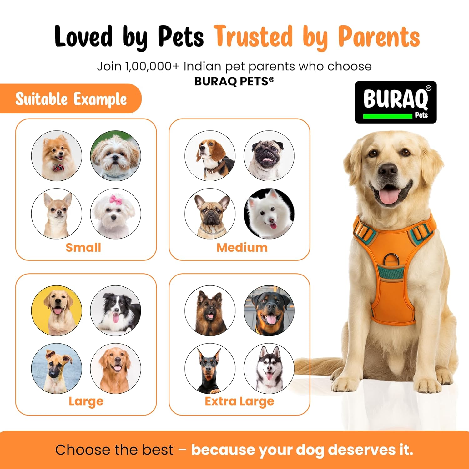 Premium No Pull Dog Harness with Leash - Adjustable Padded Vest - BURAQ PETS