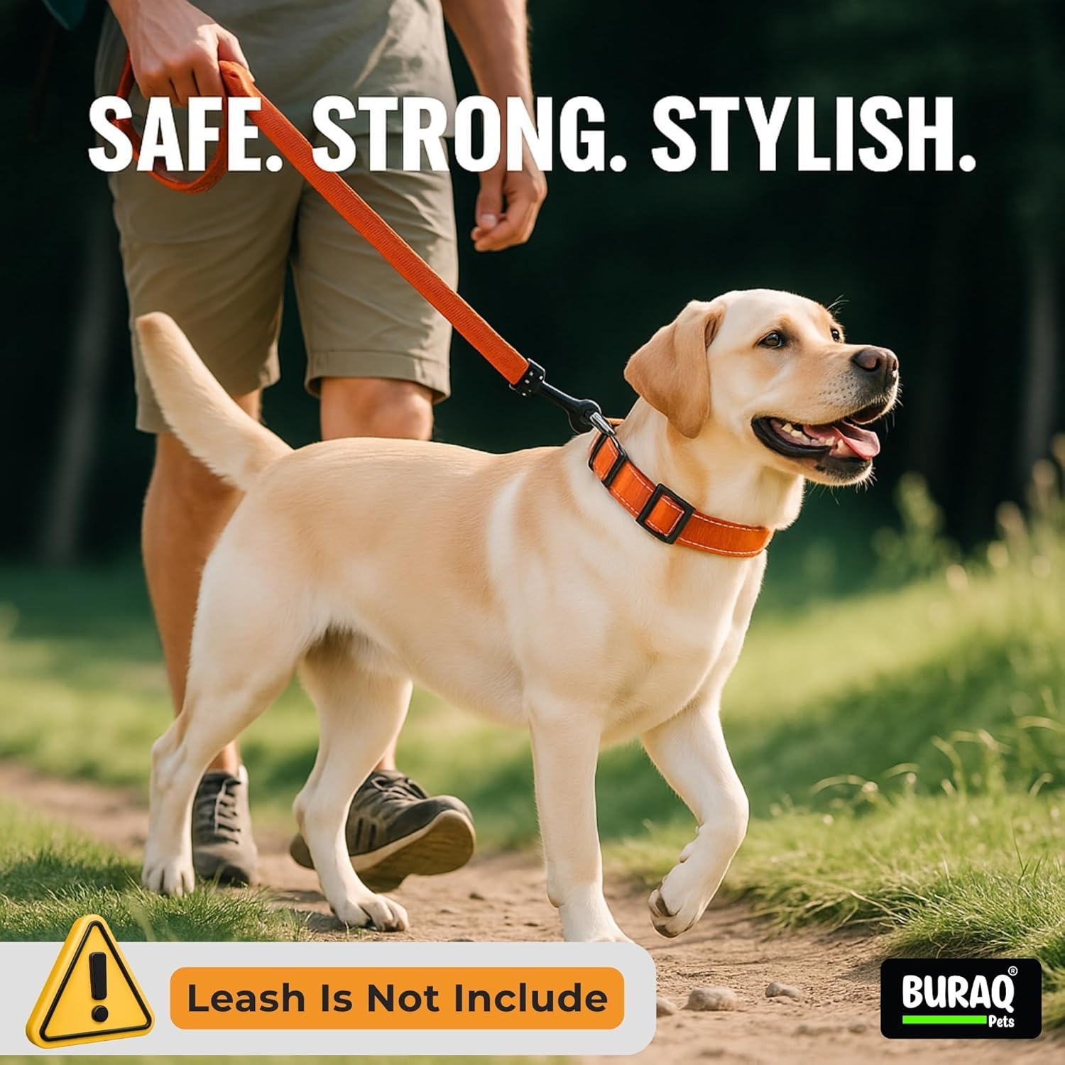 Premium Reflective Dog Collar Soft Padded, Nylon, Adjustable & Comfortable - BURAQ PETS