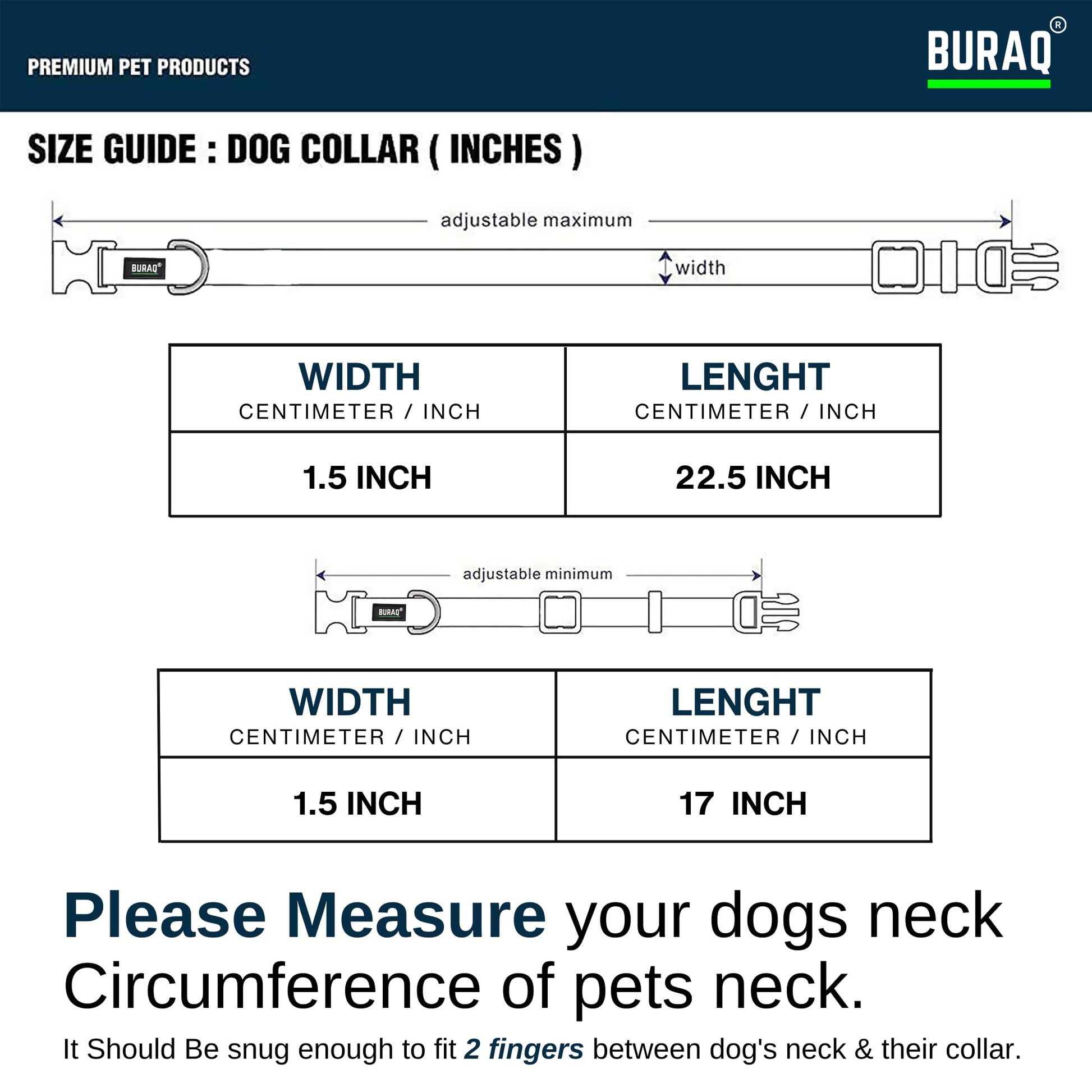 Premium Reflective Padded Dog Collar - BURAQ PETS