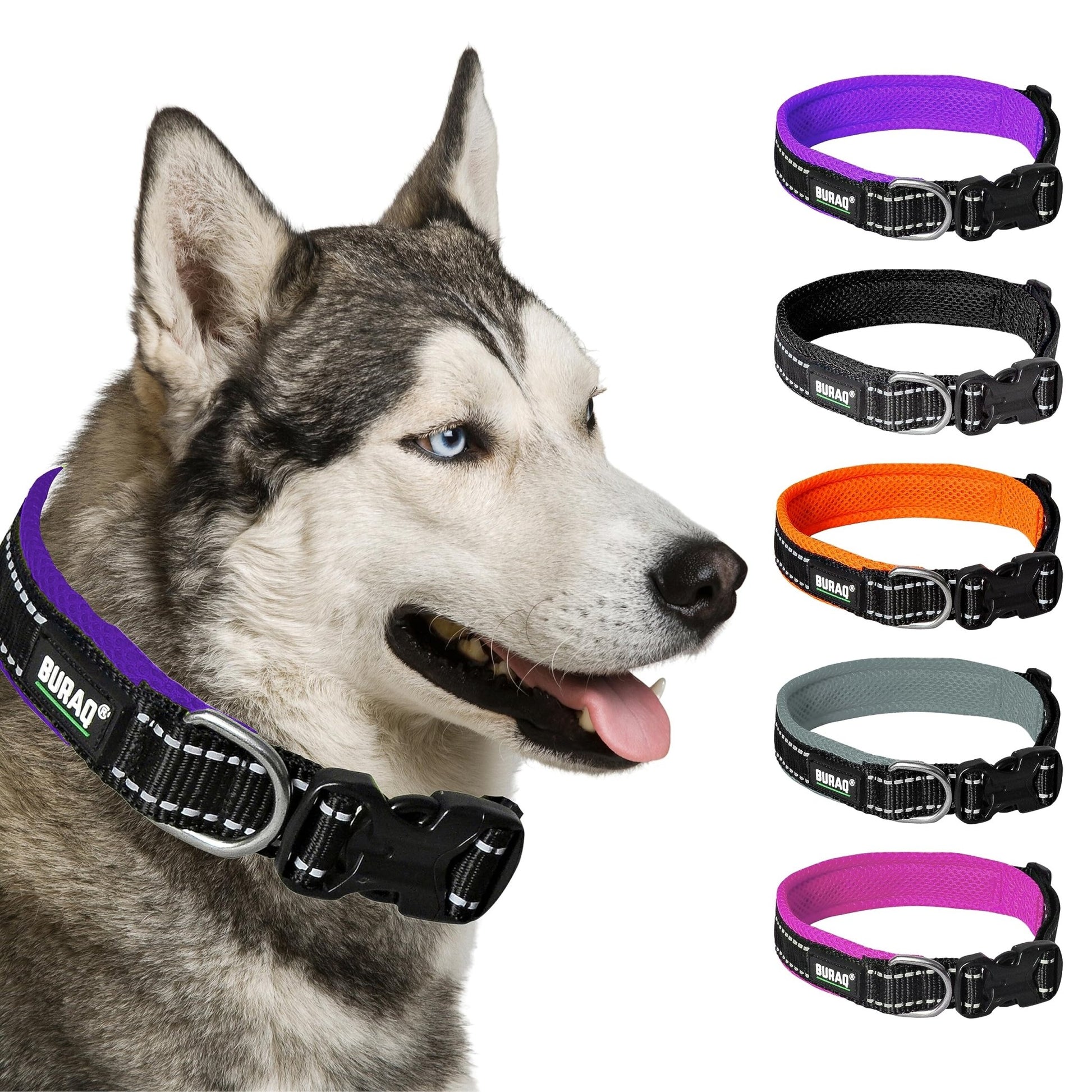 Premium Reflective Padded Dog Collar - BURAQ PETS