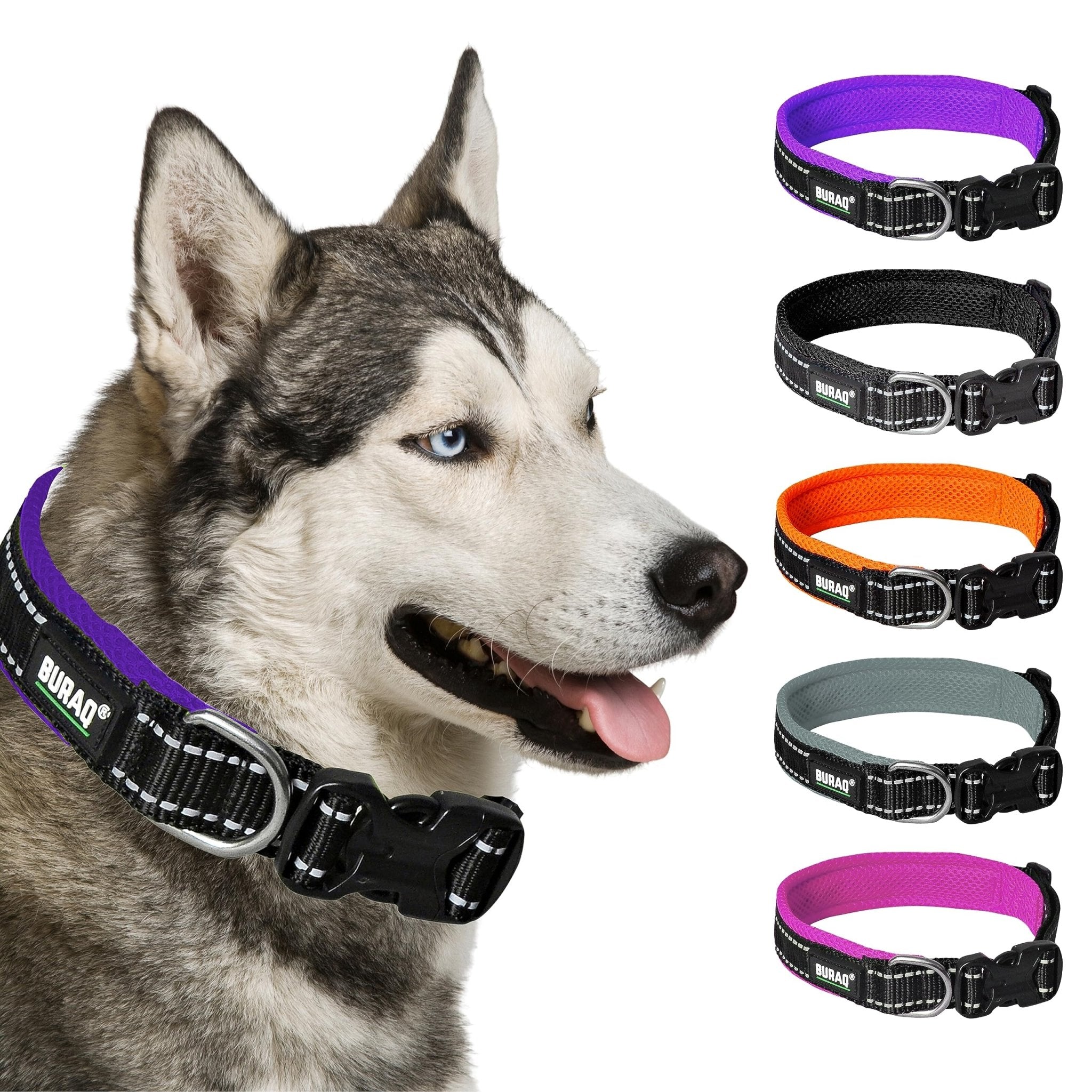 Premium Reflective Padded Dog Collar - BURAQ PETS