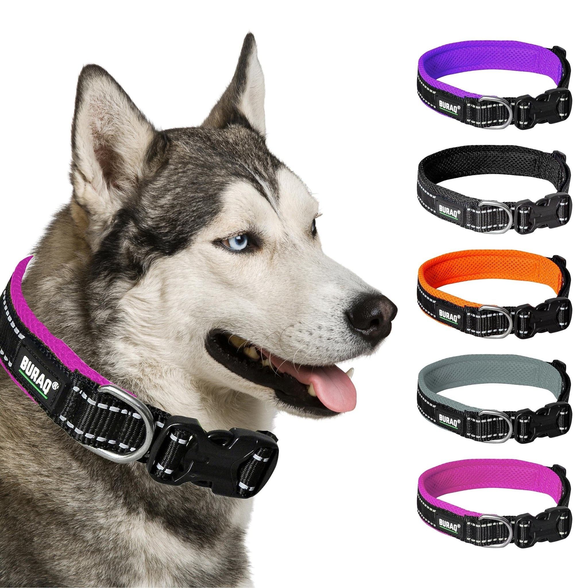 Premium Reflective Padded Dog Collar - BURAQ PETS