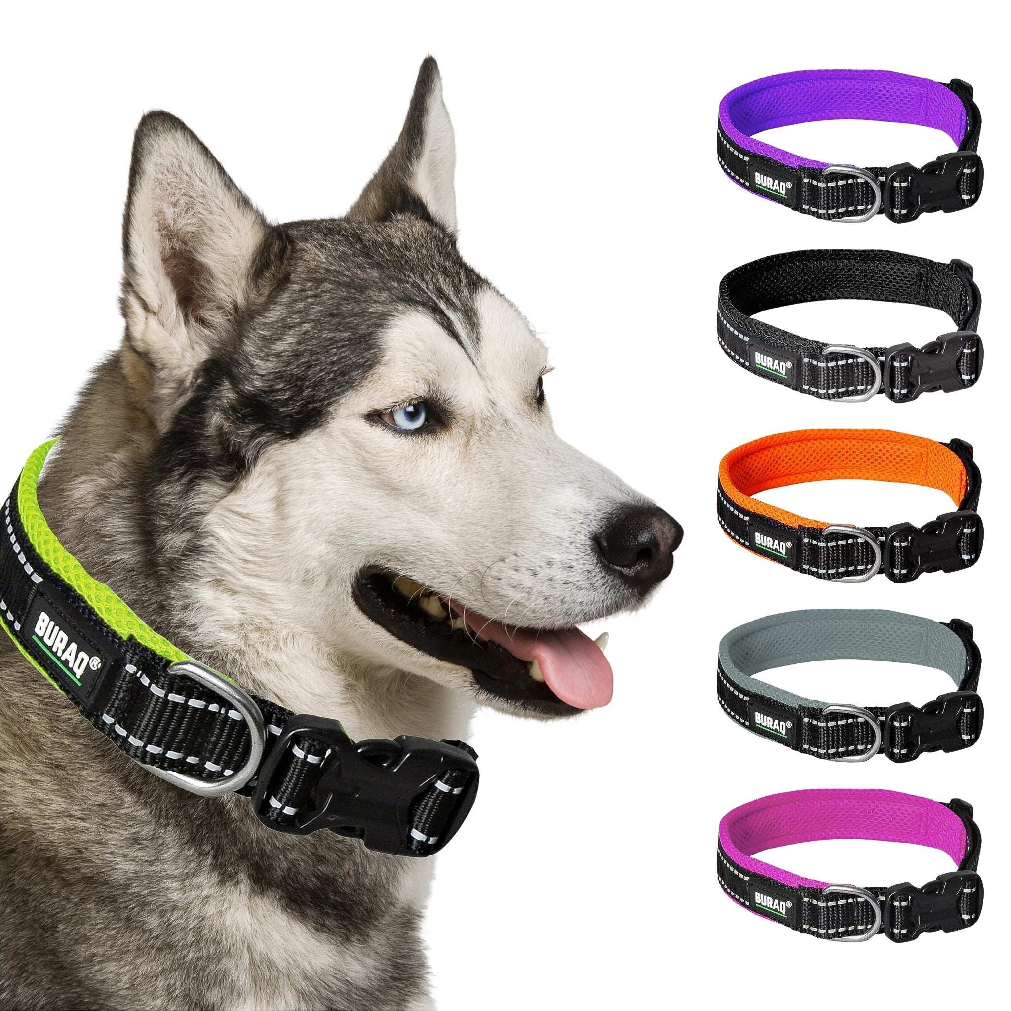 Premium Reflective Padded Dog Collar - BURAQ PETS