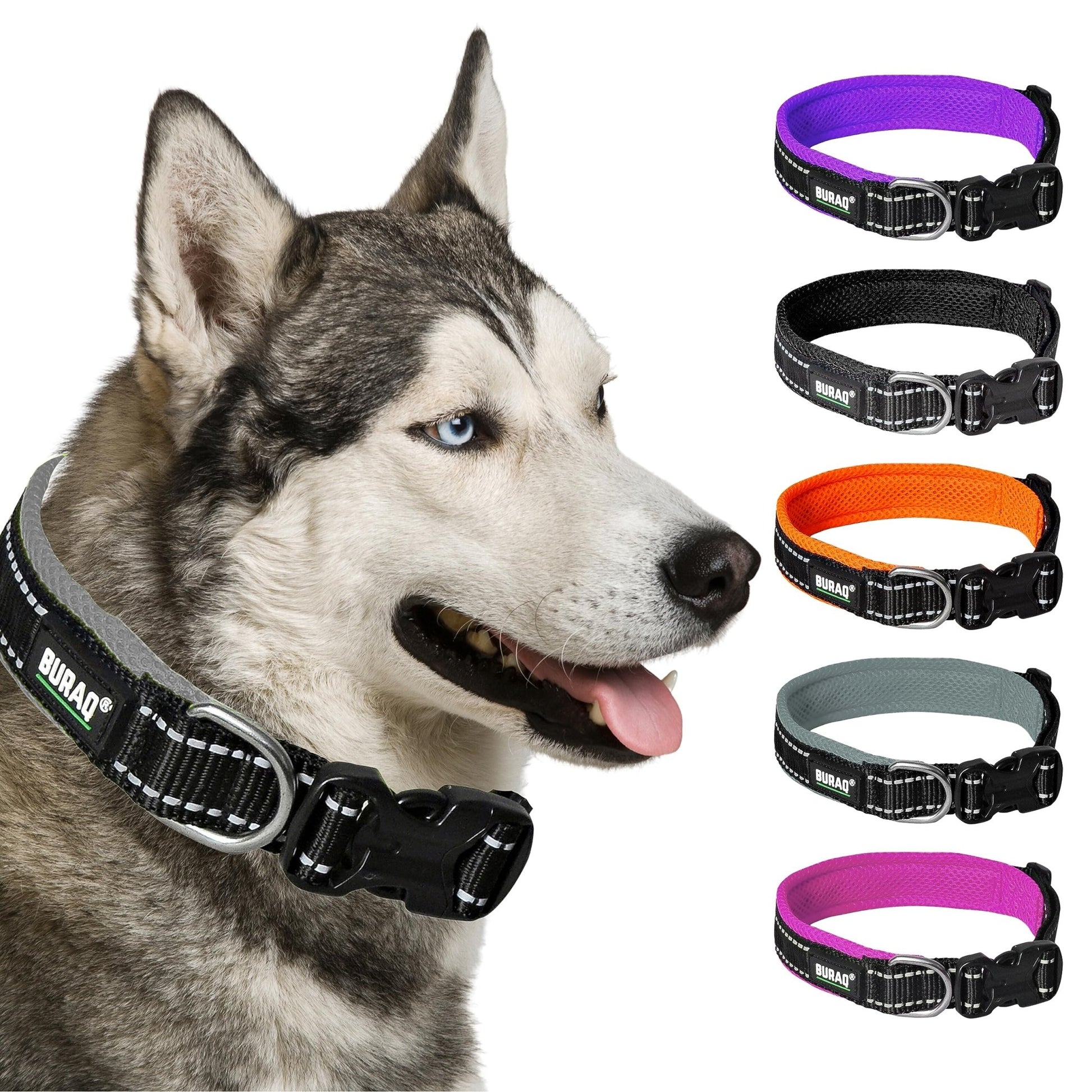 Premium Reflective Padded Dog Collar - BURAQ PETS