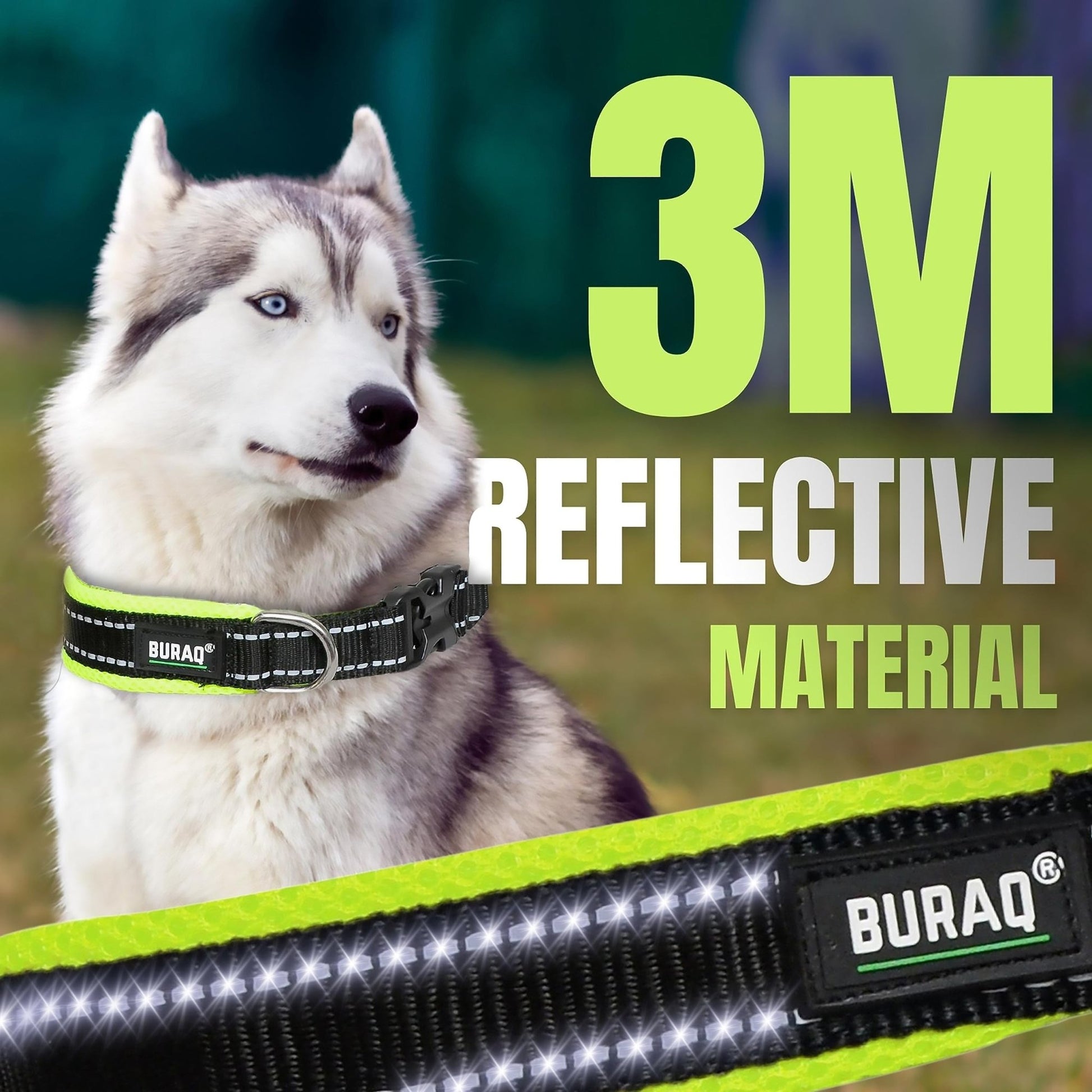 Premium Reflective Padded Dog Collar - BURAQ PETS