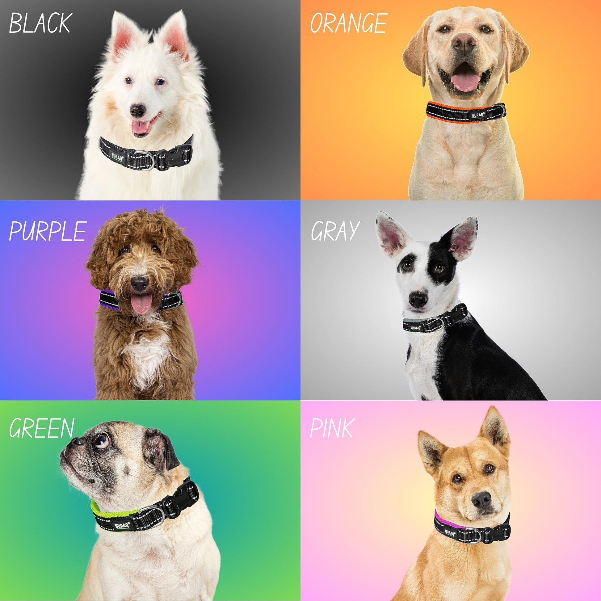 Premium Reflective Padded Dog Collar - BURAQ PETS