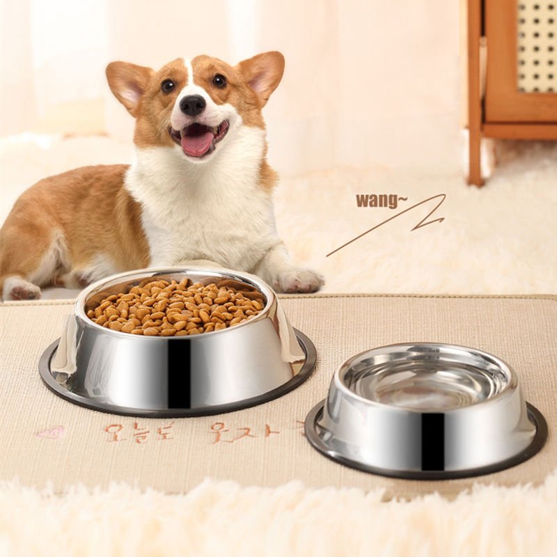 Premium Stainless Steel Anti - Skid Pet Bowl – Durable & Easy to Clean - BURAQ PETS