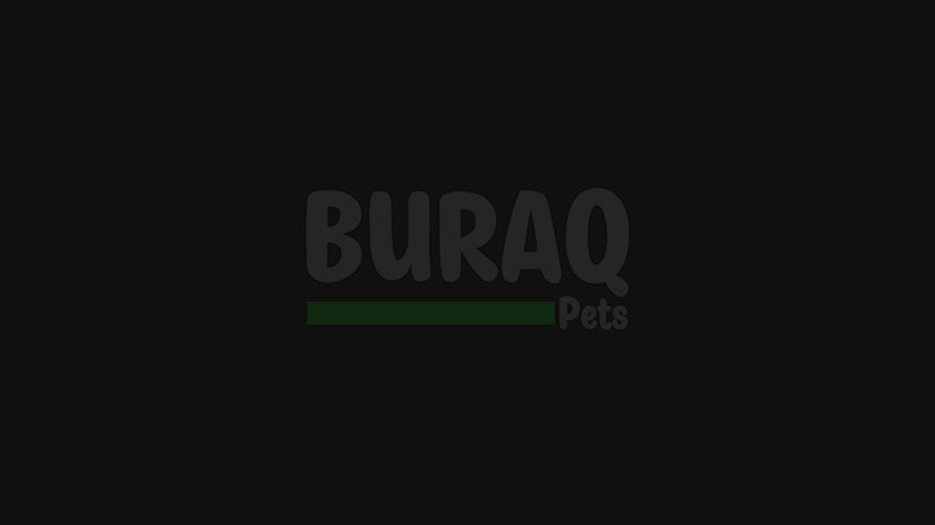 Load video: 2.2L Automatic Cat Water Fountain with LED