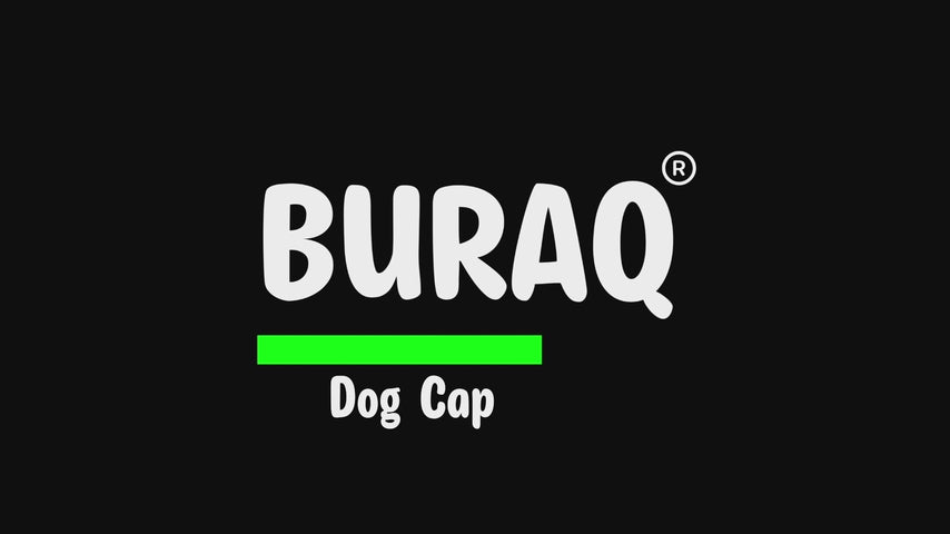 Load video: Dog Baseball Cap – Adjustable Sun Hat with Ear Holes &amp; Visor