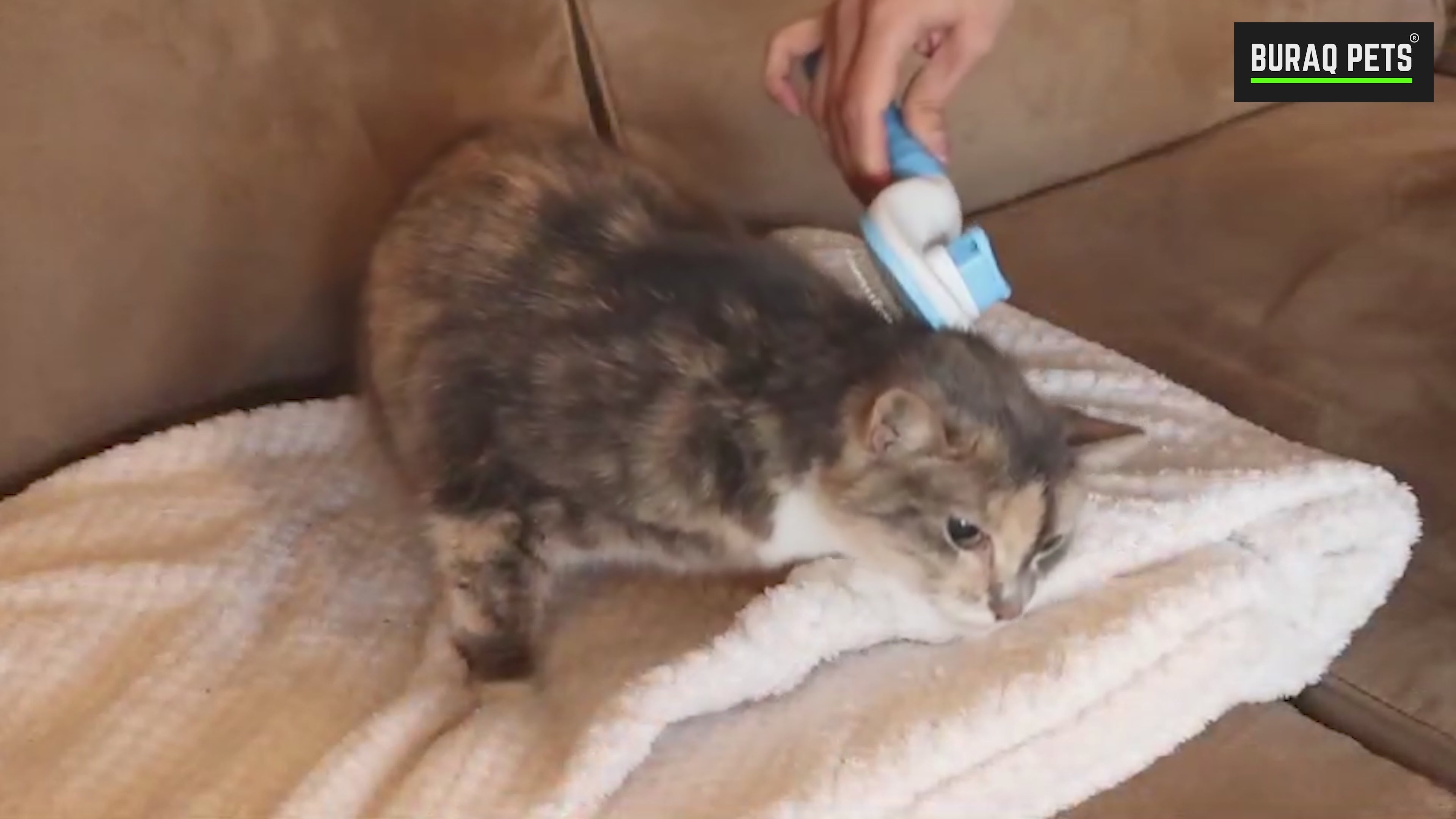 Load video: Self-Cleaning Slicker Brush – Shedding &amp; Detangling Tool