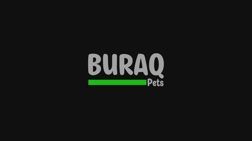 Load video: Ultra-Quiet  Aquarium Filter with Carbon  500F/1000F/1500F
