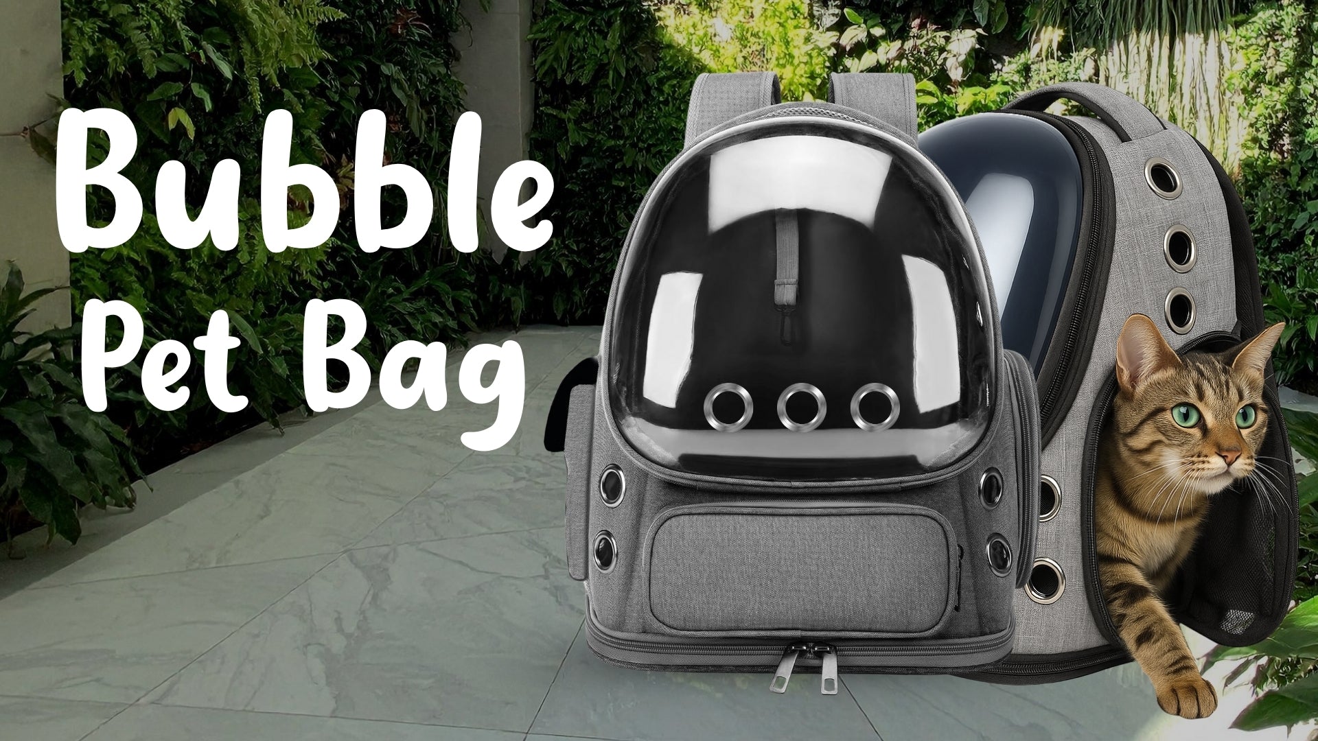 Load video: Bubble Cat Backpack Carrier – Breathable, Spacious &amp; Stylish
