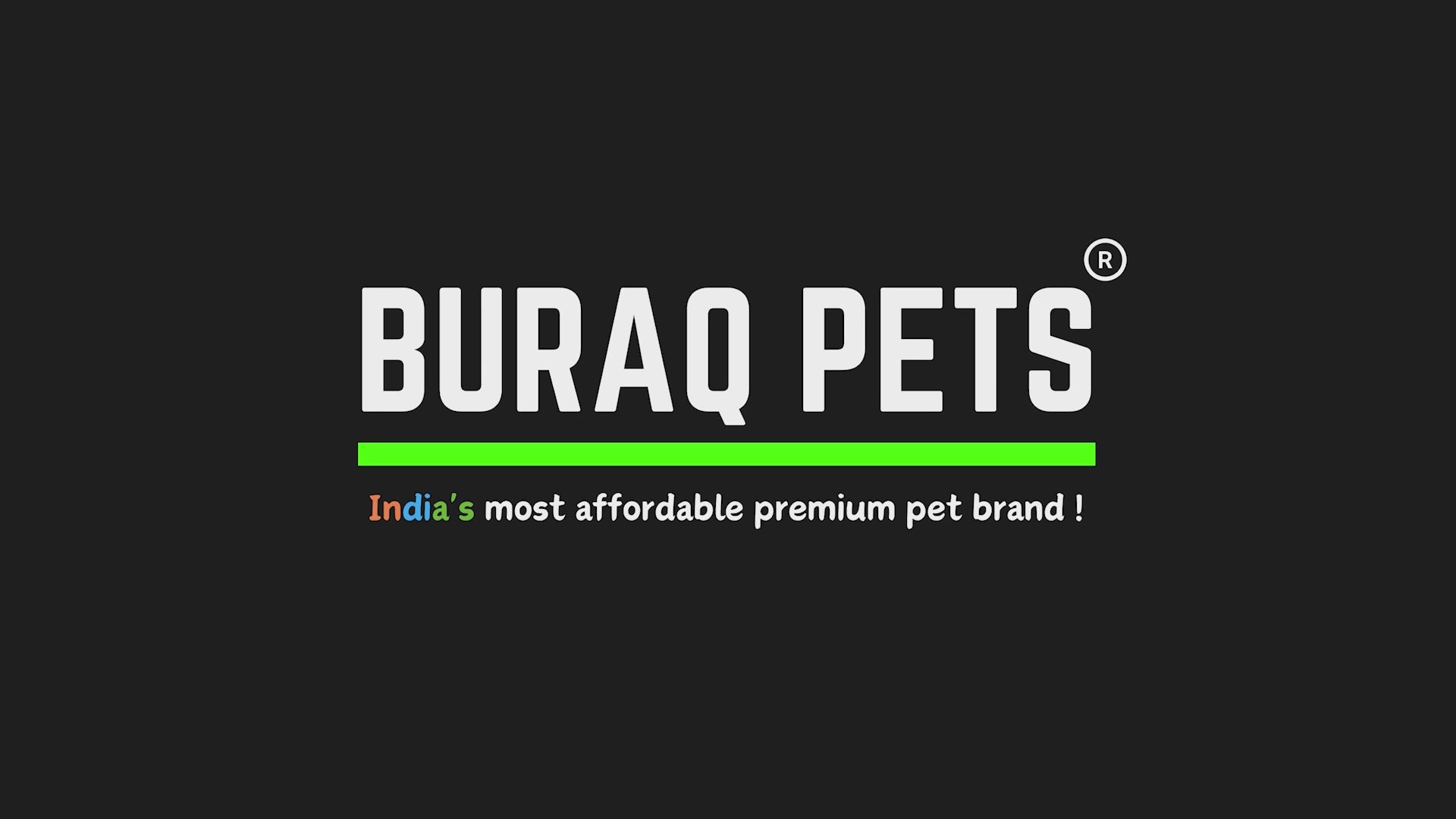 Load video: Breathable Cat Carrier Backpack – Ventilated Travel Bag