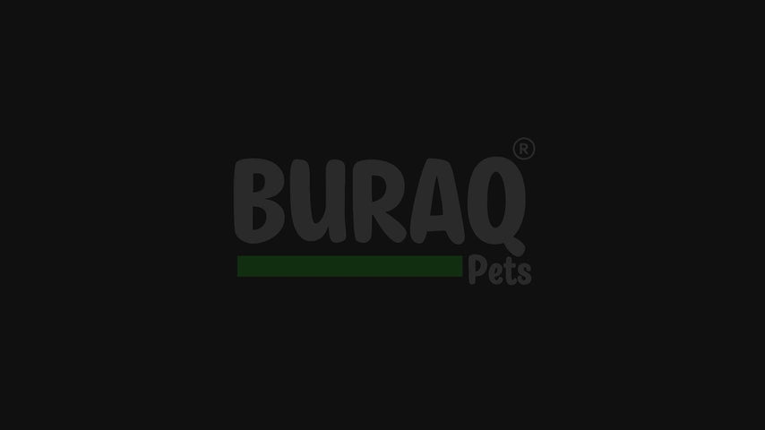Load video: 4 in 1 Aquarium Filter | 15W | 880L/H | 1.5–2.5 ft Tank