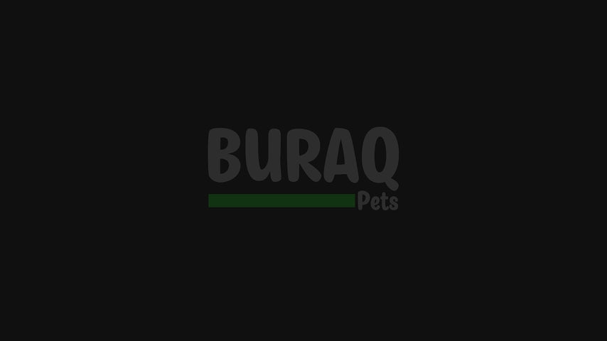 Load video: Heavy Duty Dog Leash – Reflective Rope with Padded Grip