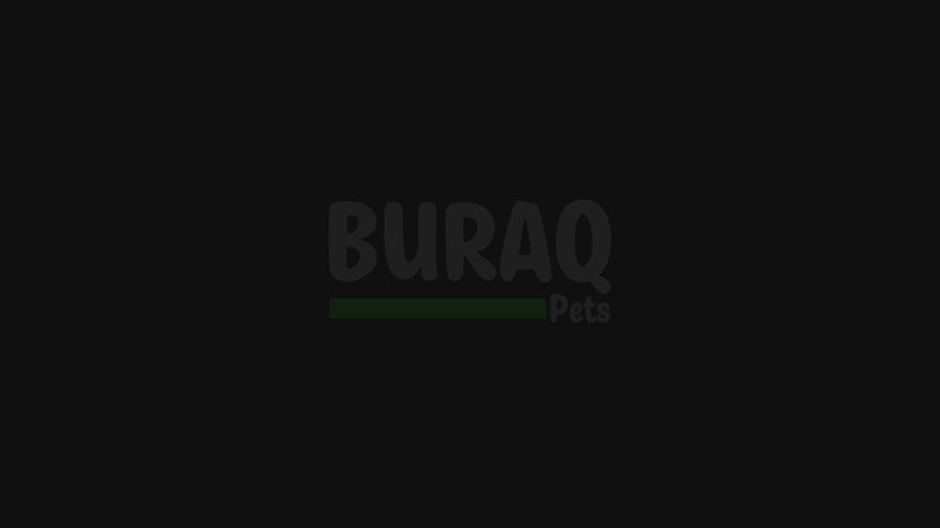 Load video: Curved Unbreakable Aquarium Tank with Top Filter &amp; Light