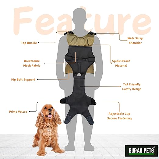 Pup Explorer Dog Carrier – Head-Out Backpack with Support | Buy