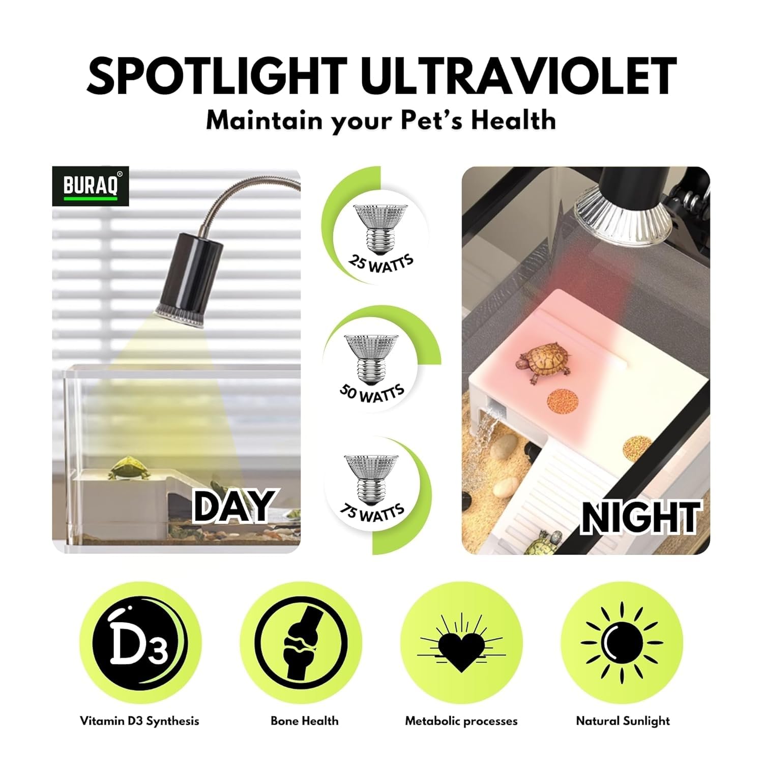 Red Infrared UVB Basking Bulb – Night Heat Lamp for Reptiles - BURAQ PETS
