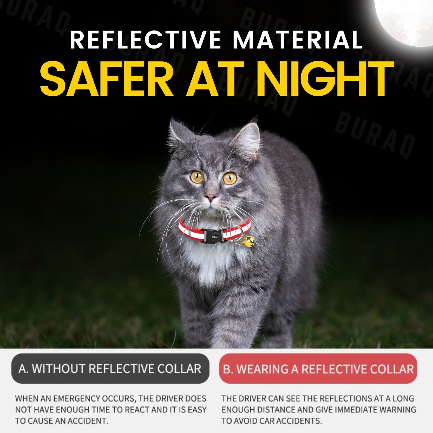 Reflective Cat Collars with Bell – Adjustable | Pack of 2 - BURAQ PETS