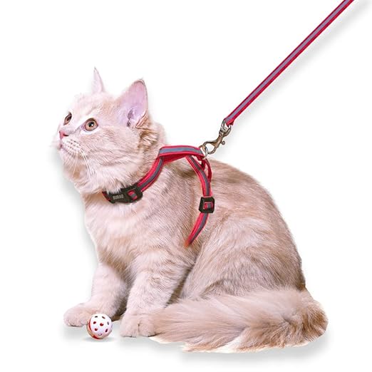 Reflective Cat Harness with Leash – Escape - Proof, Adjustable & Durable Walking - BURAQ PETS