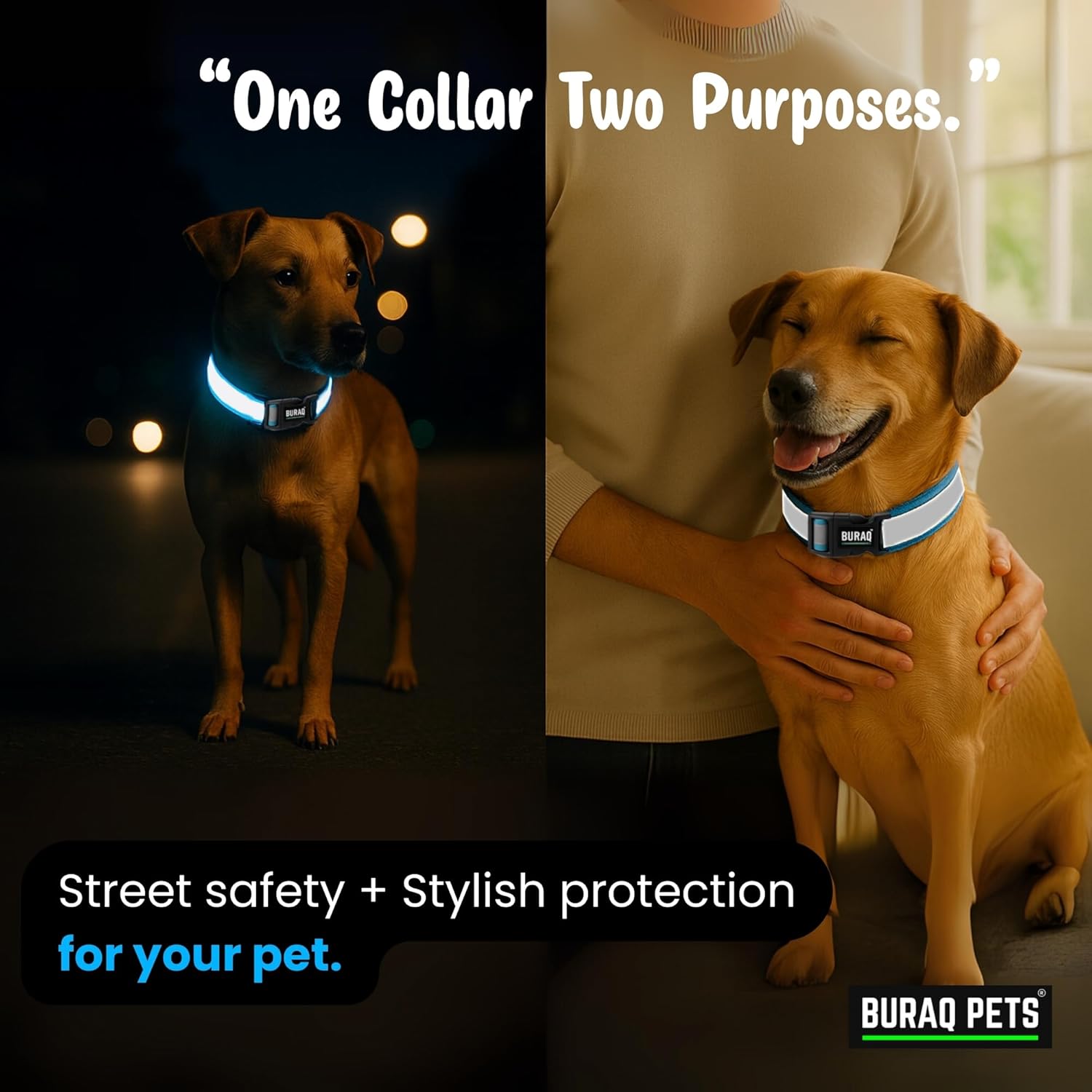 Reflective Nylon Dog Collar - Adjustable & Durable - premium pet product by Buraq Pets