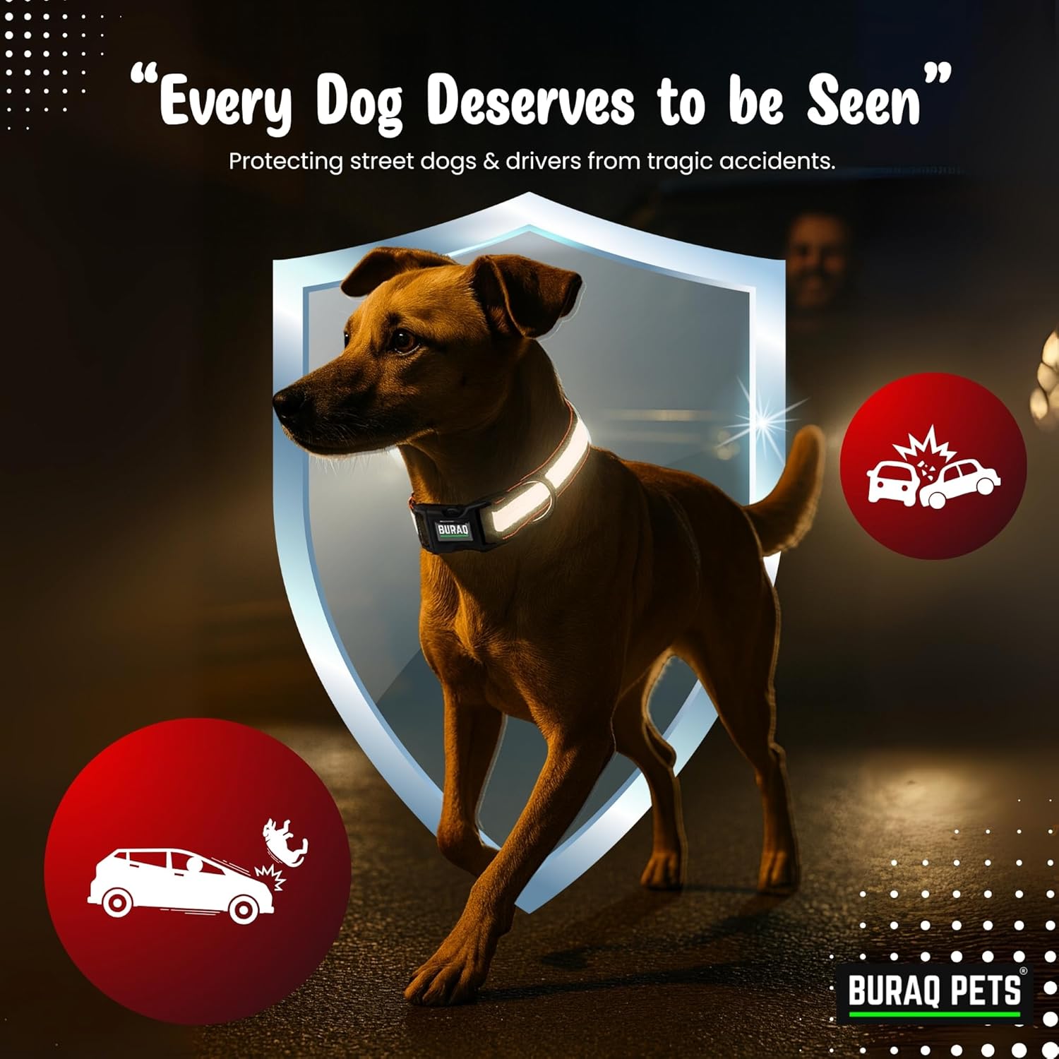 Reflective Nylon Dog Collar - Adjustable & Durable - premium pet product by Buraq Pets