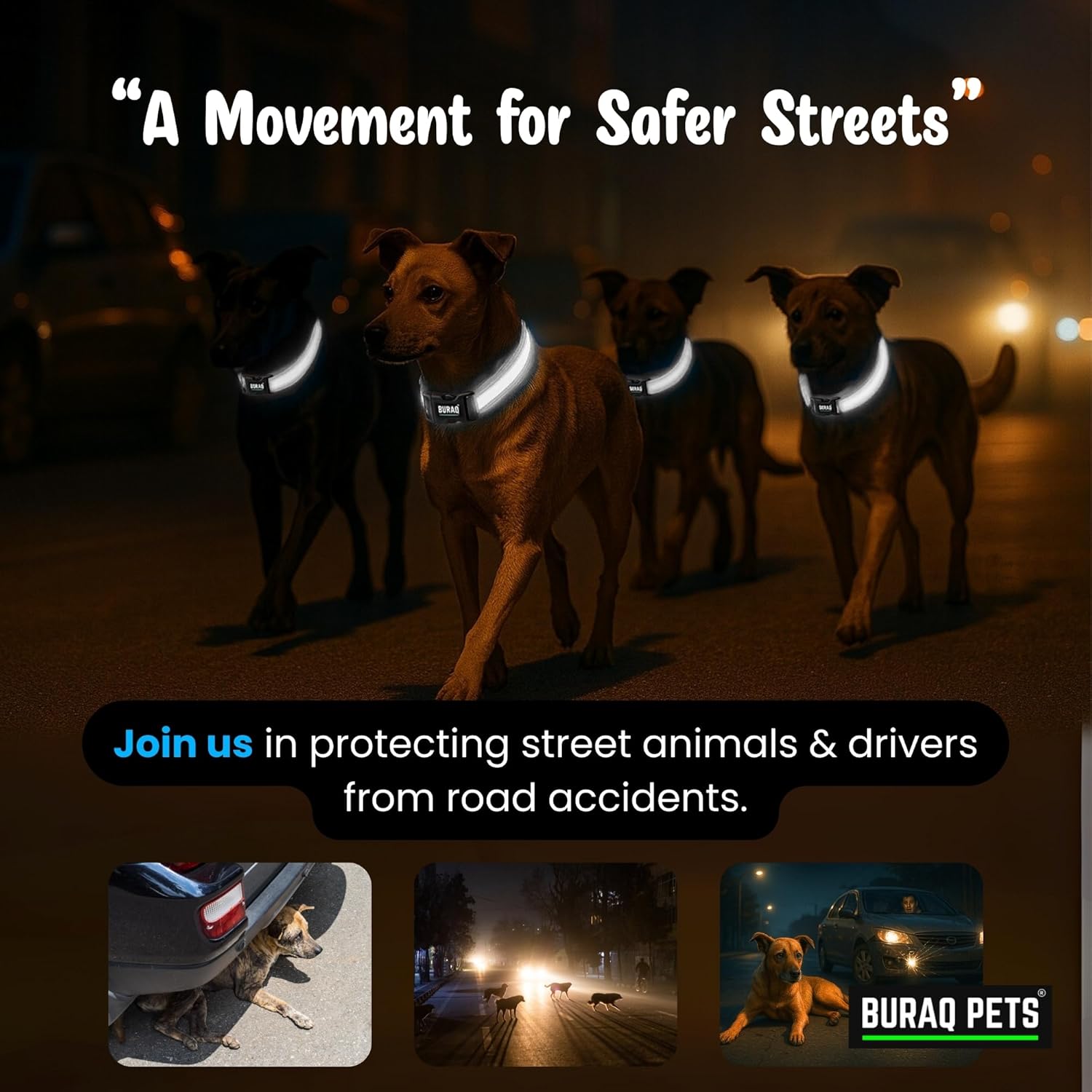 Reflective Nylon Dog Collar - Adjustable & Durable - premium pet product by Buraq Pets