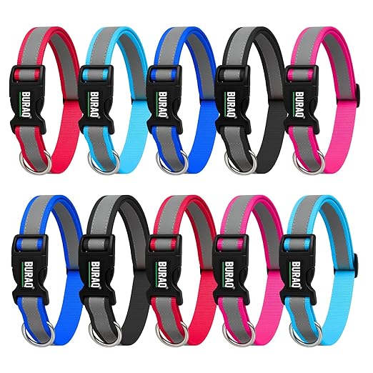 Reflective Nylon Dog Collar – Adjustable & Durable - BURAQ PETS