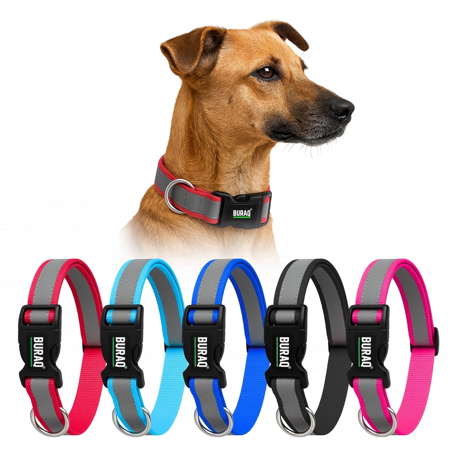 Reflective Nylon Dog Collar – Adjustable & Durable - BURAQ PETS
