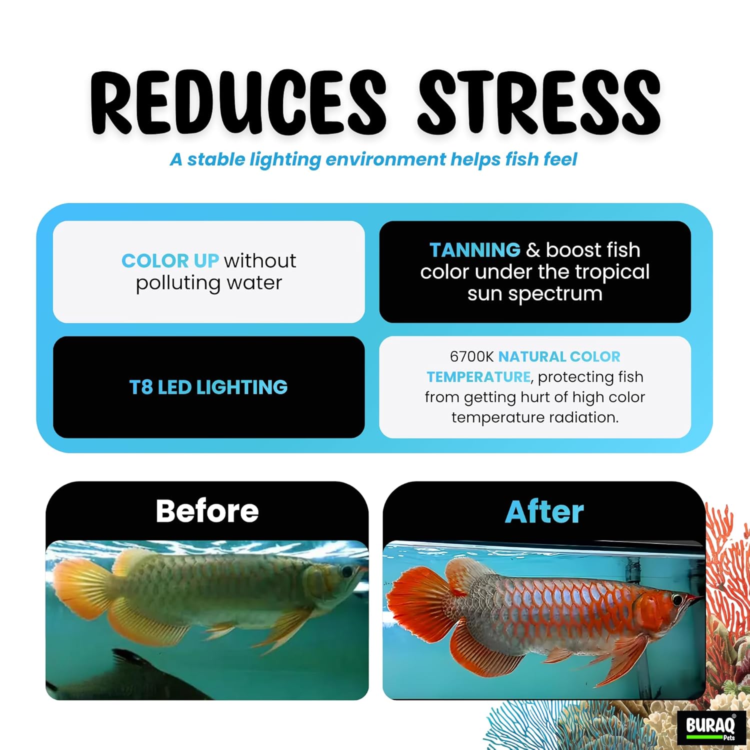 Solar Color Booster Aquarium LED Light  - Natural 6700K Spectrum for Large Tanks - premium pet product by Buraq Pets