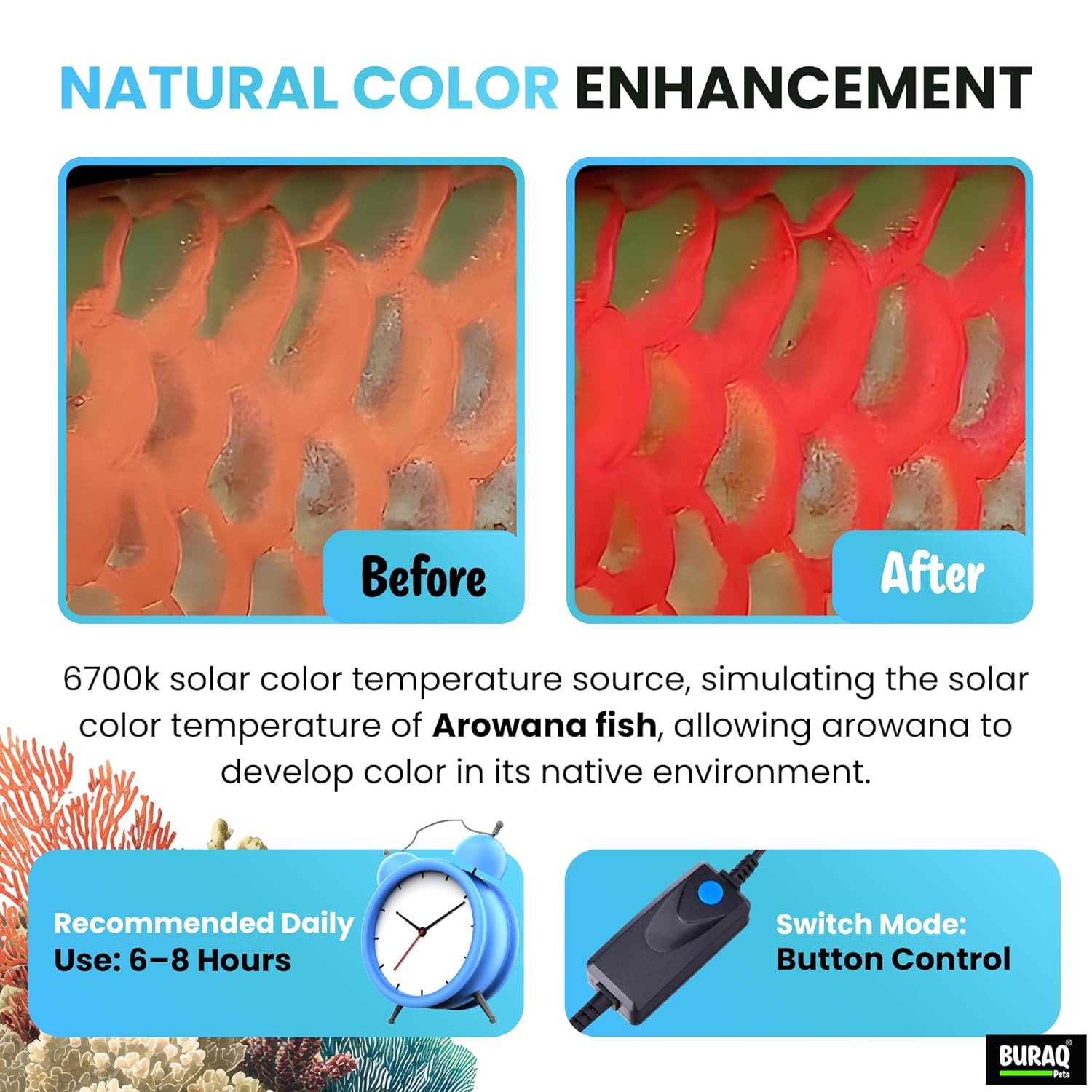 Solar Color Booster Aquarium LED Light  - Natural 6700K Spectrum for Large Tanks - premium pet product by Buraq Pets