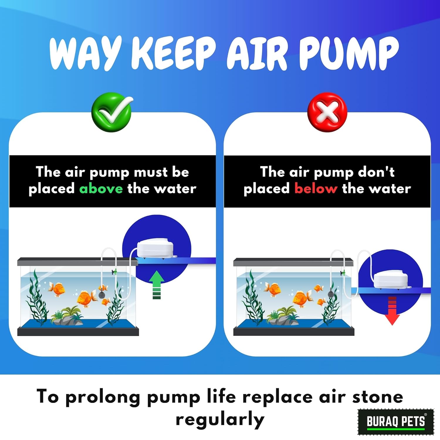 Super Silent Aquarium Air Pump, Long Lasting Performance, ( Single Outlet ) - BURAQ PETS