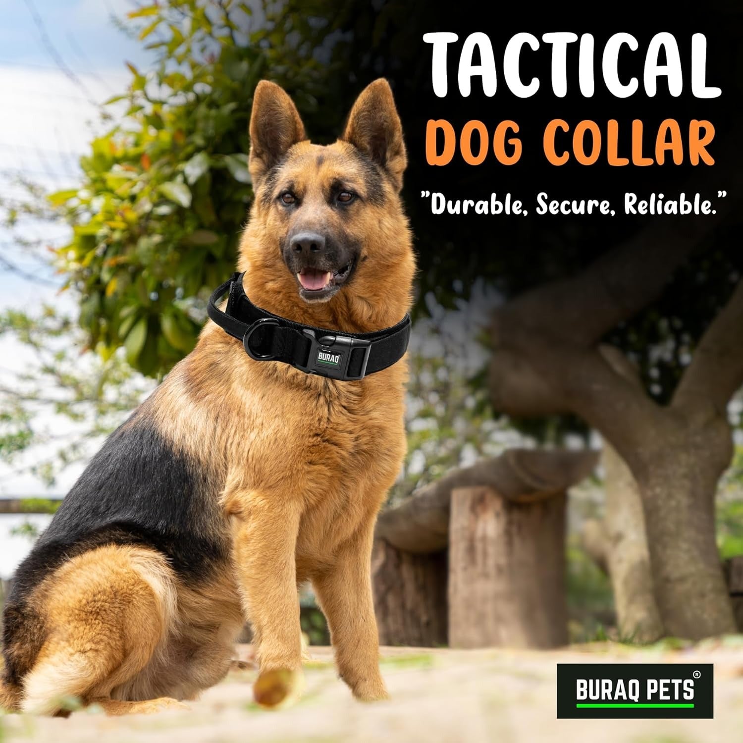 Tactical Dog Collar, Adjustable Military - Grade Nylon with Handle - BURAQ PETS