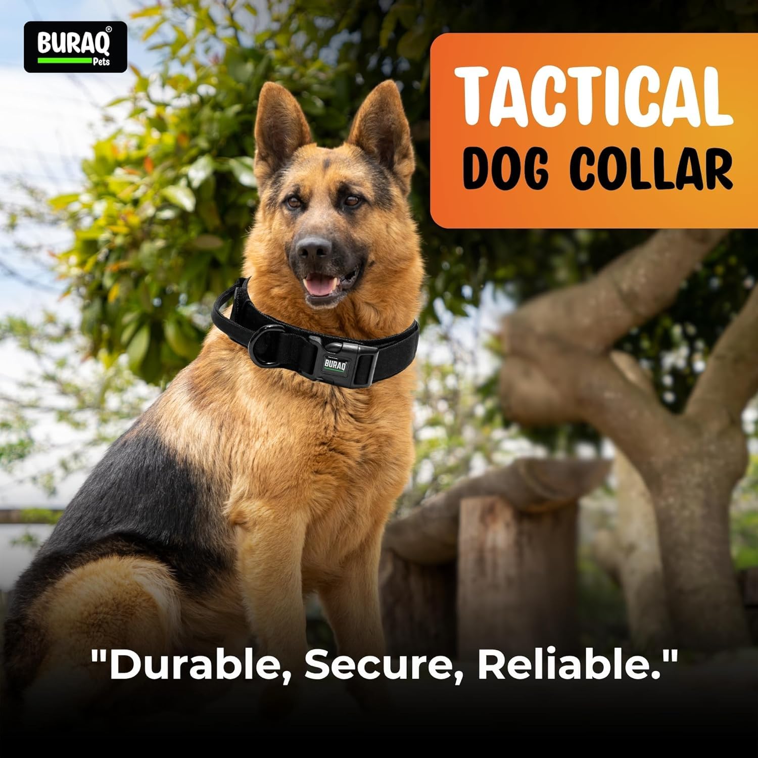 Tactical Dog Collar – Adjustable Nylon with Control Handle - BURAQ PETS
