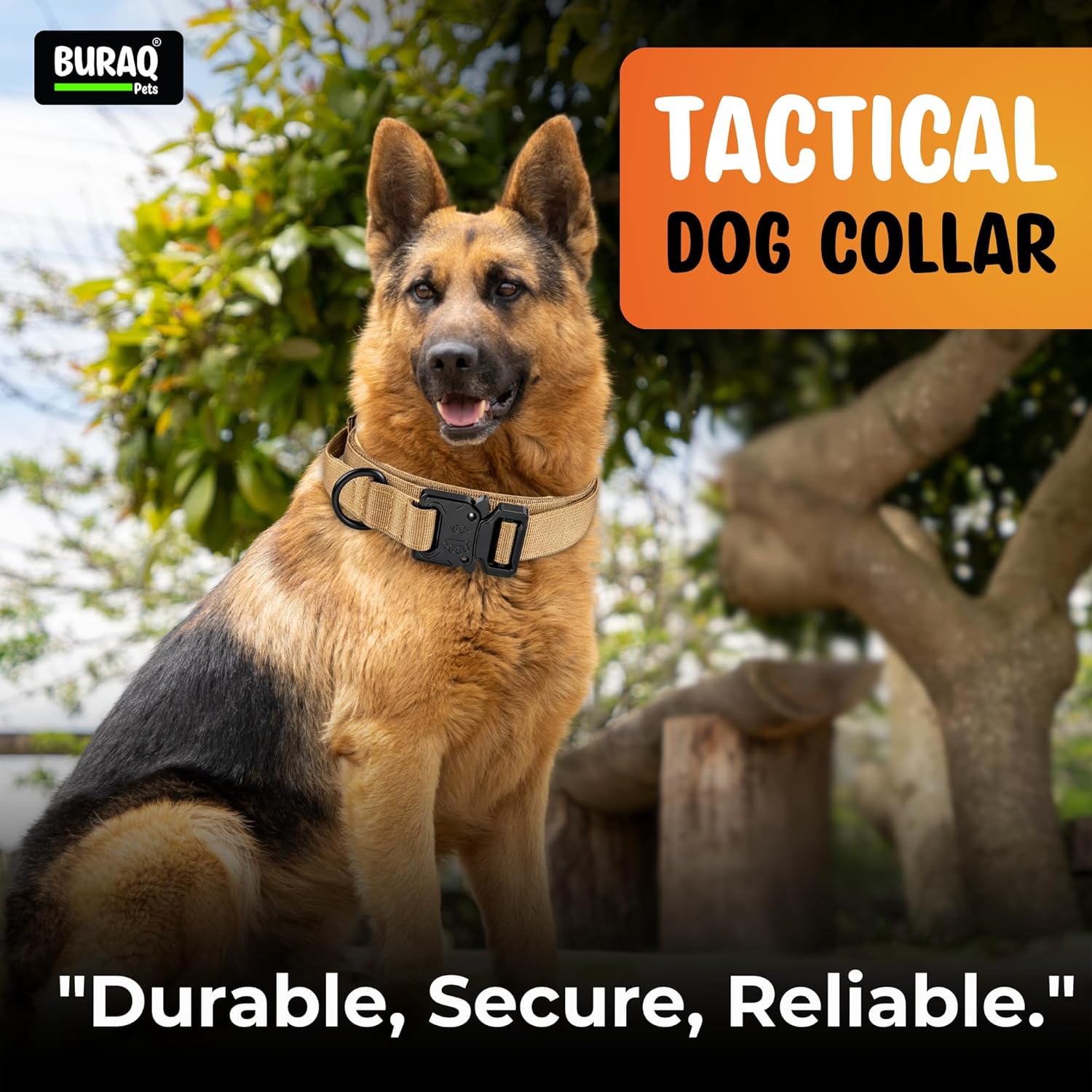 Tactical Dog Collar with Leash – Adjustable Military Style Training Set – premium pet product by Buraq Pets