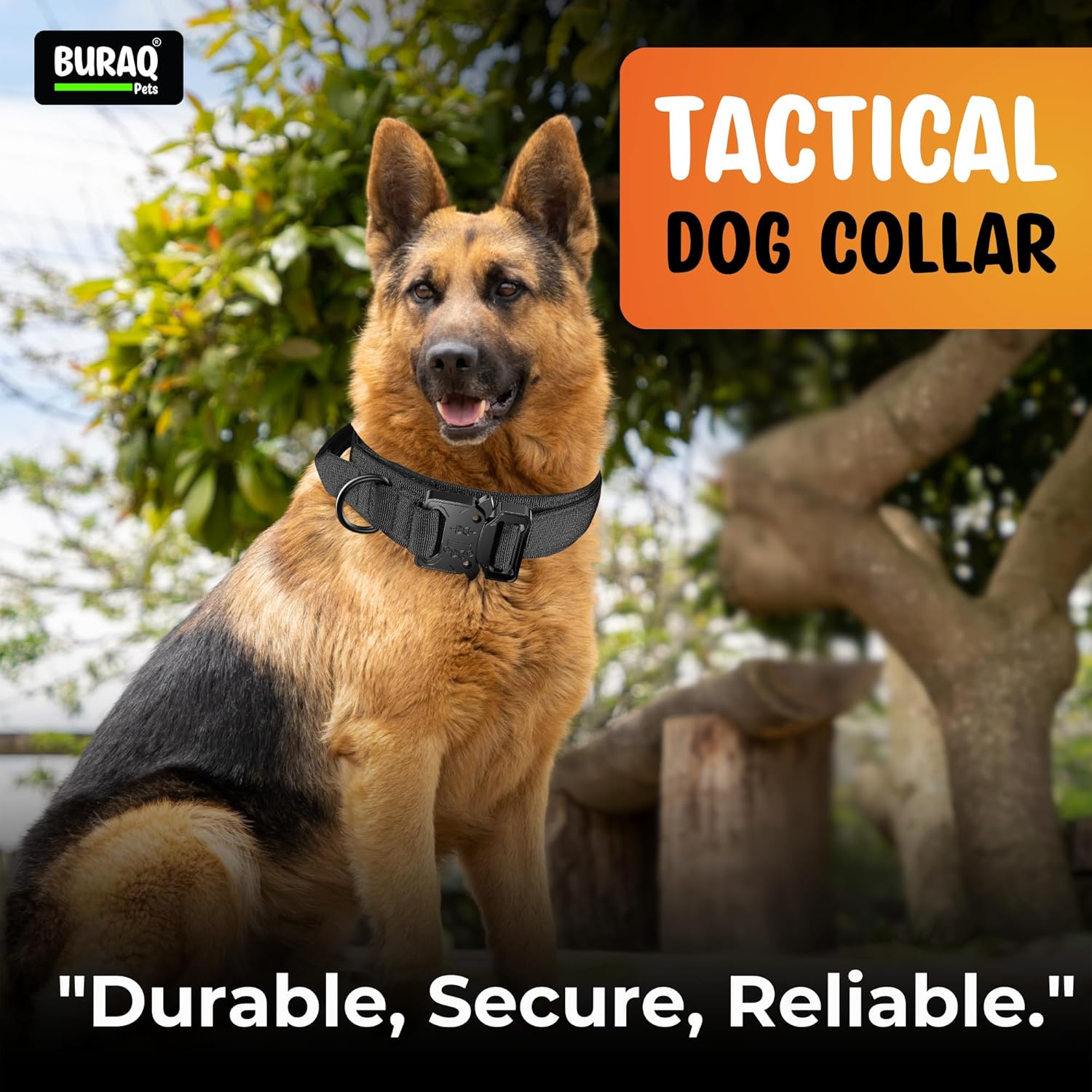 Tactical Dog Collar with Leash – Adjustable Military Style Training Set - BURAQ PETS
