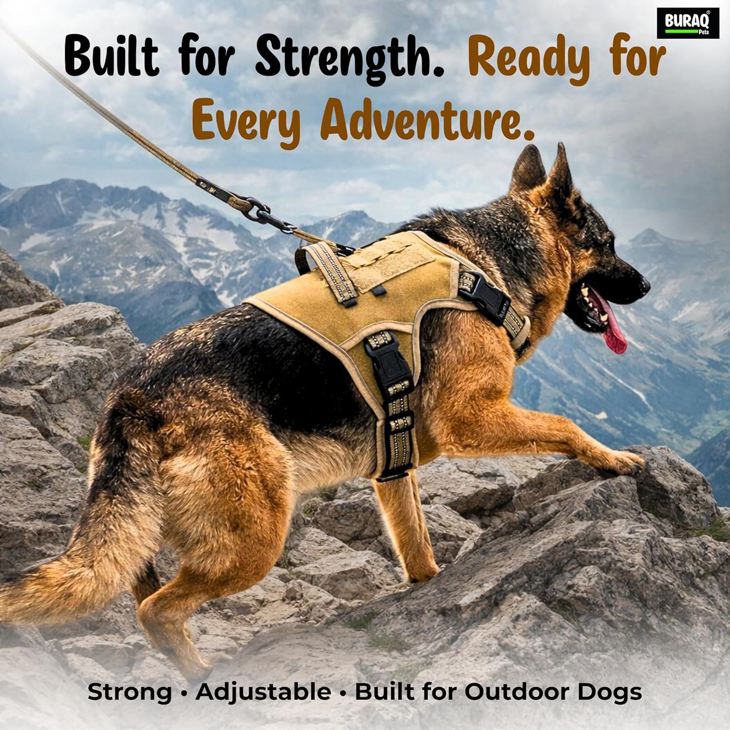 Tactical No Pull Dog Harness & Leash – Reflective Adjustable Vest with Handle for Dogs - BURAQ PETS