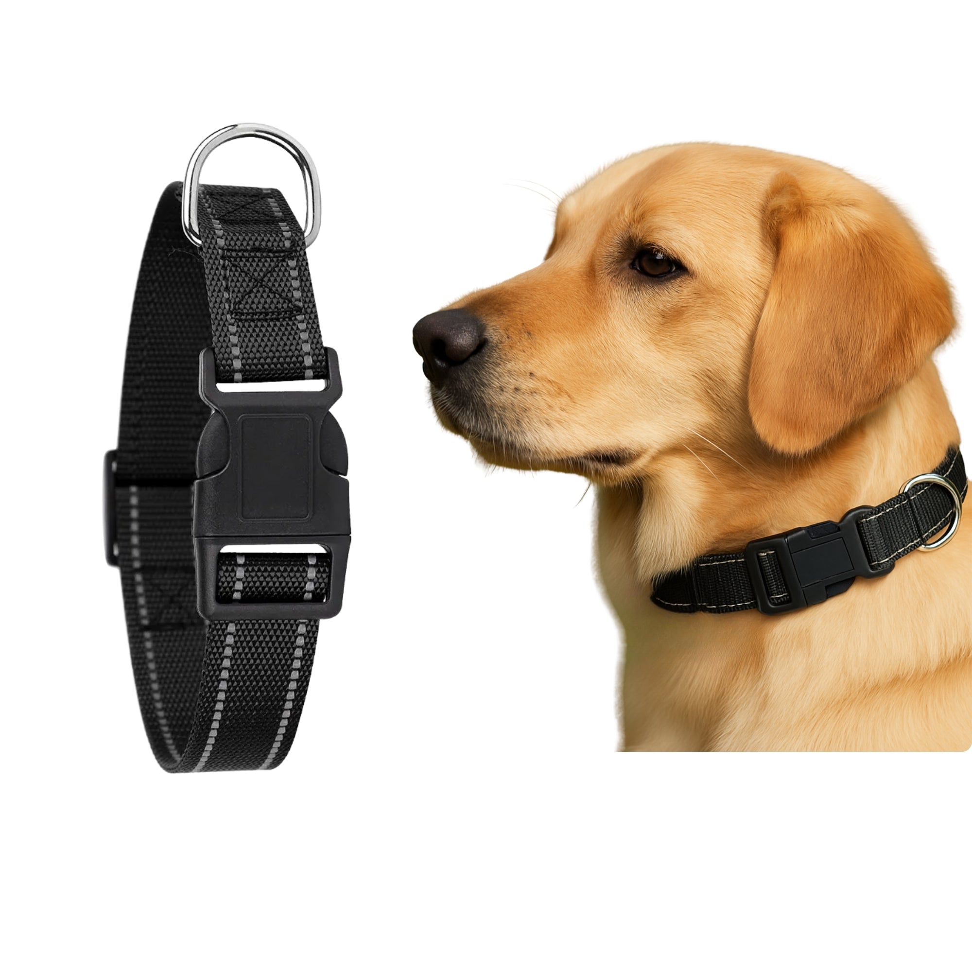 Titan Dog Collar – Durable, Comfortable, Secure - BURAQ PETS