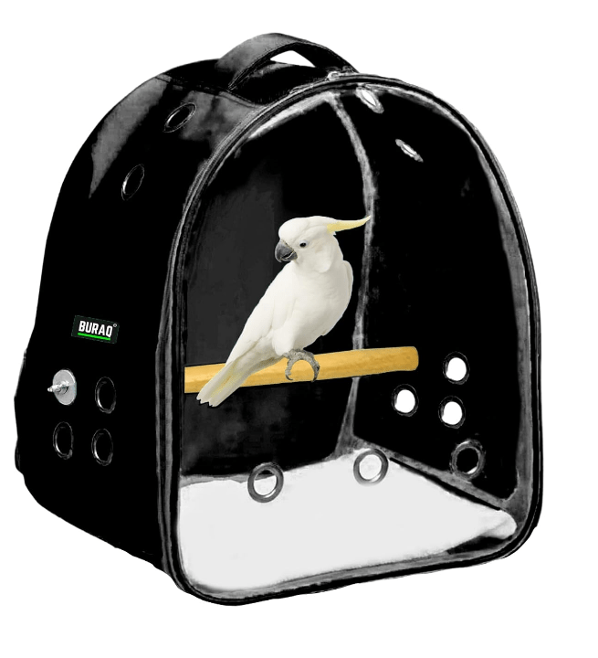 Transparent Bird Travel Carrier – Airline - Approved, Ventilated & Lightweight - BURAQ PETS