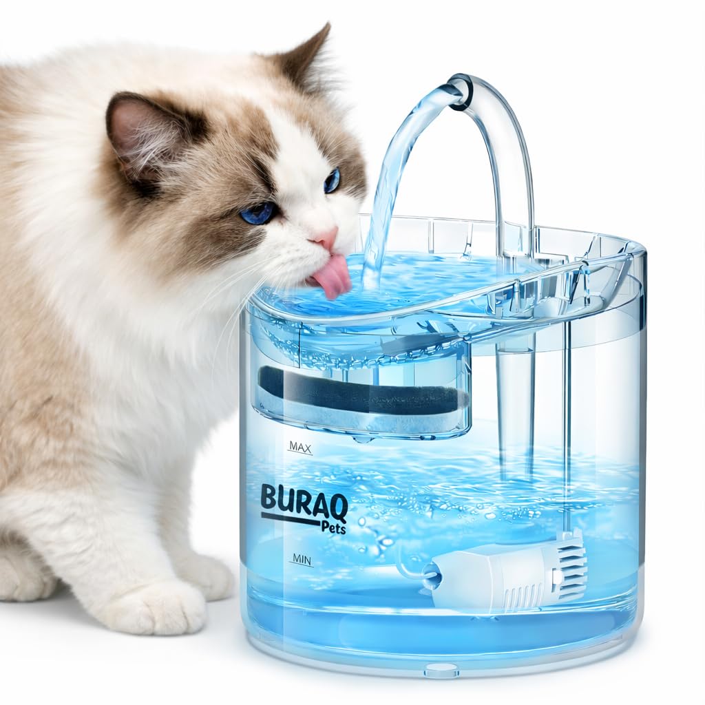 Transparent Pet Water Fountain With Filter - BURAQ PETS