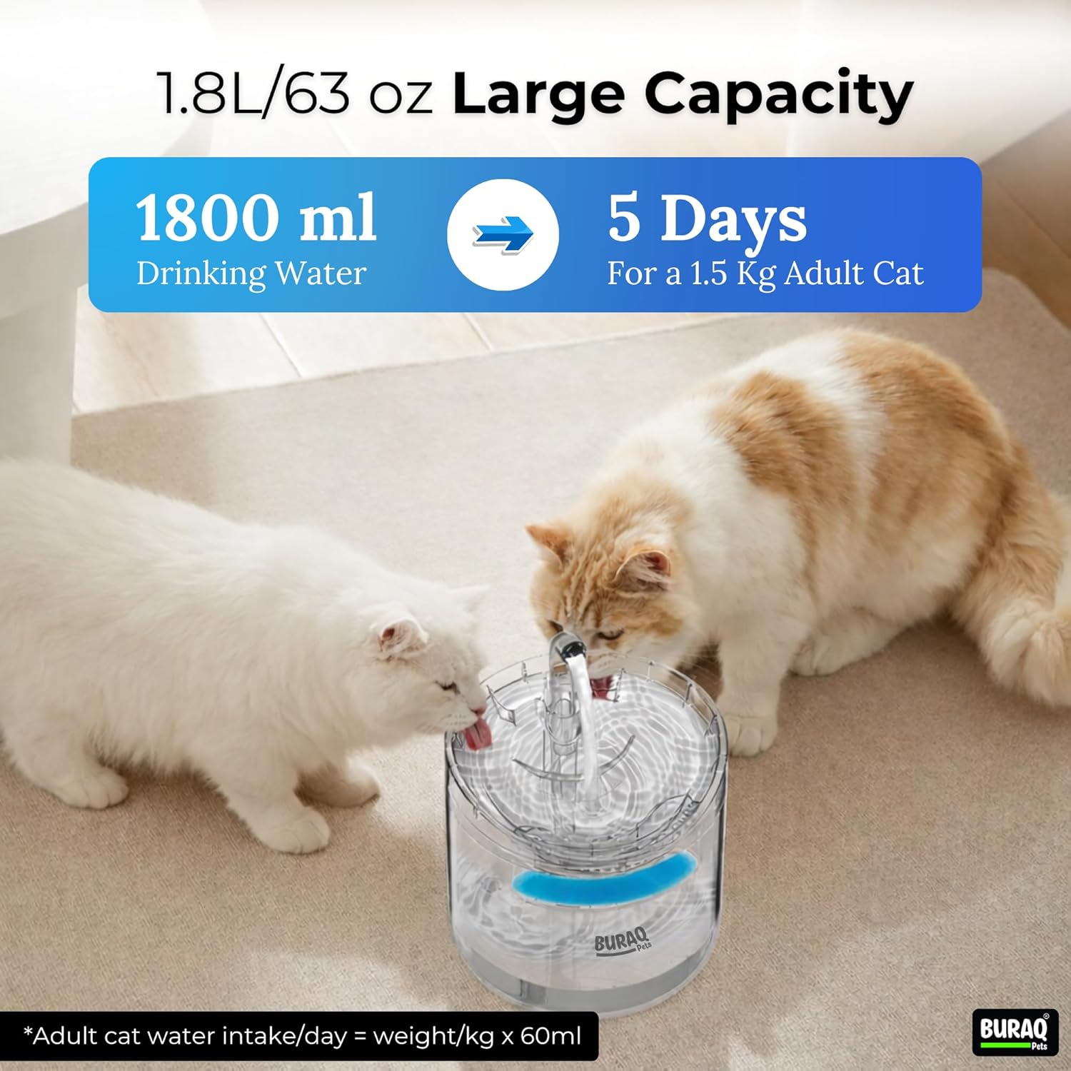 Transparent Pet Water Fountain With Filter - BURAQ PETS