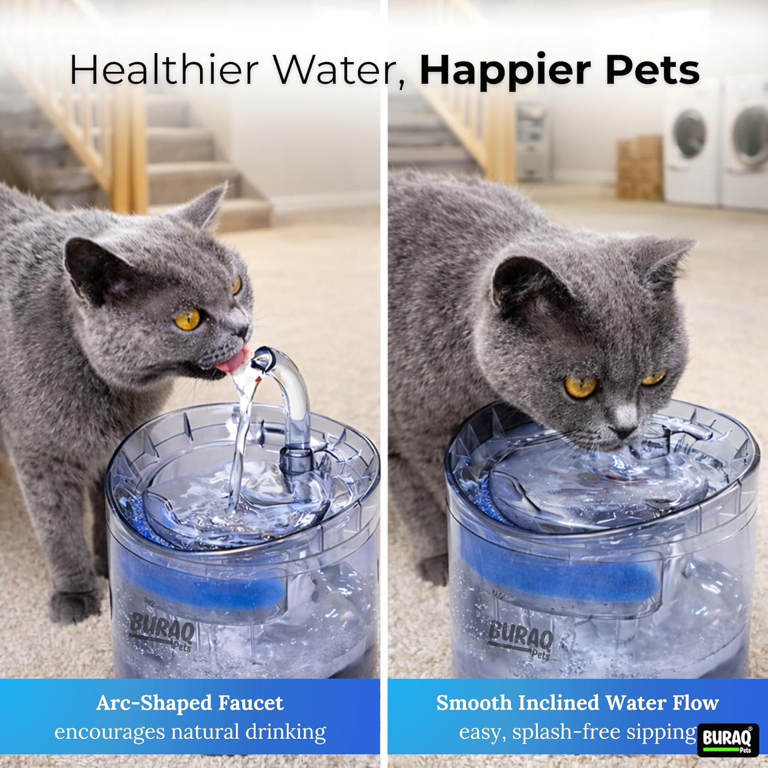 Transparent Pet Water Fountain With Filter - BURAQ PETS