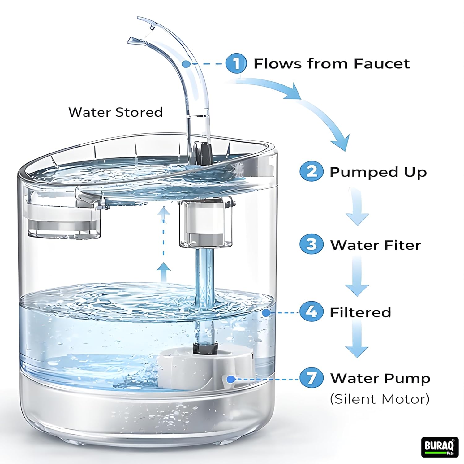 Transparent Pet Water Fountain With Filter - BURAQ PETS