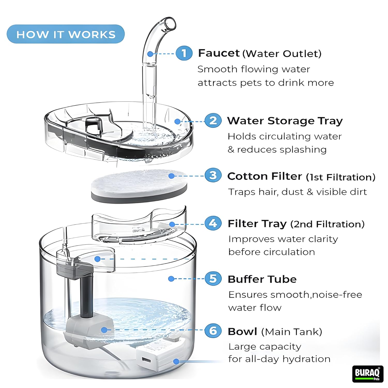 Transparent Pet Water Fountain With Filter - BURAQ PETS