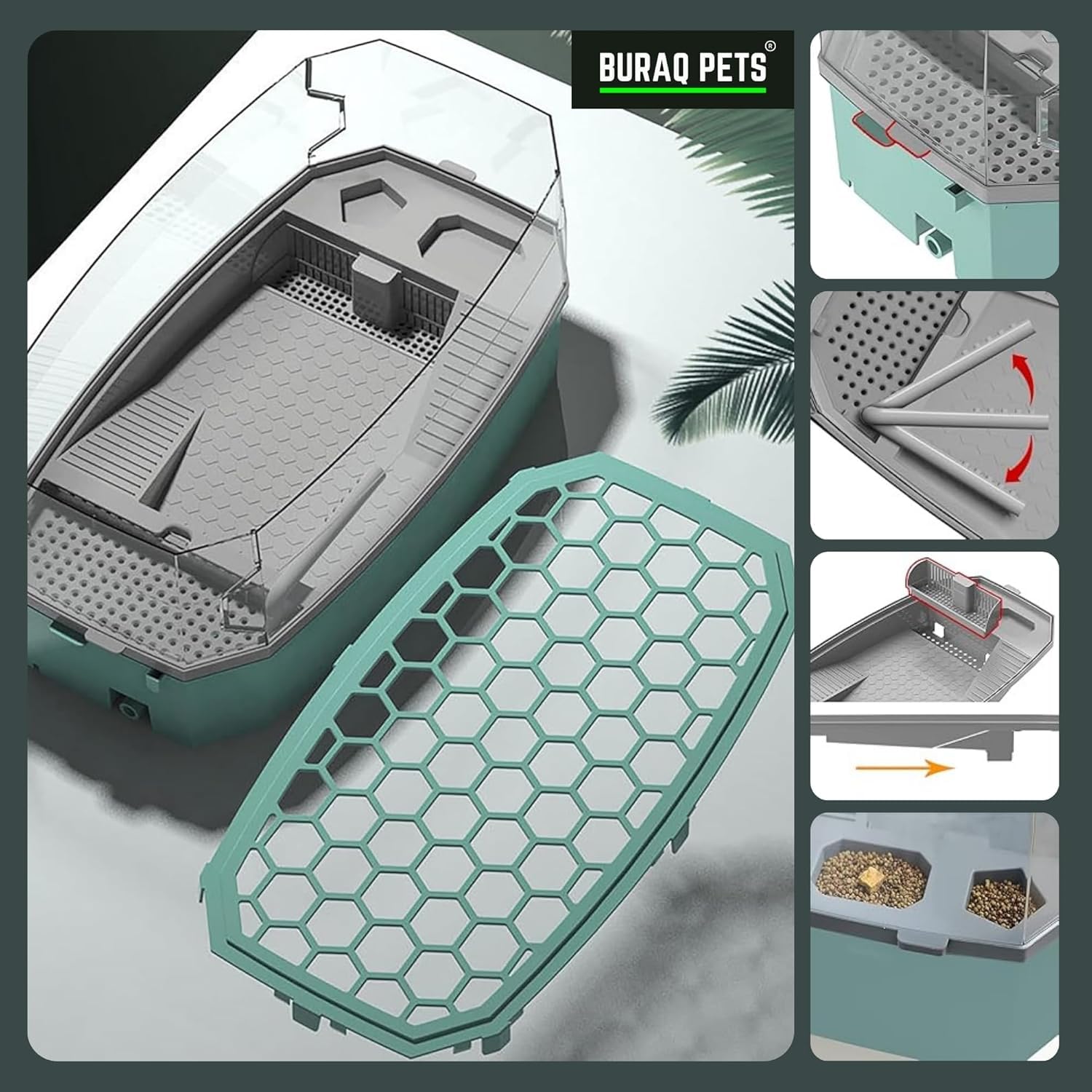 Turtle Tank Includes Accessories with Pump & Water Filter - BURAQ PETS