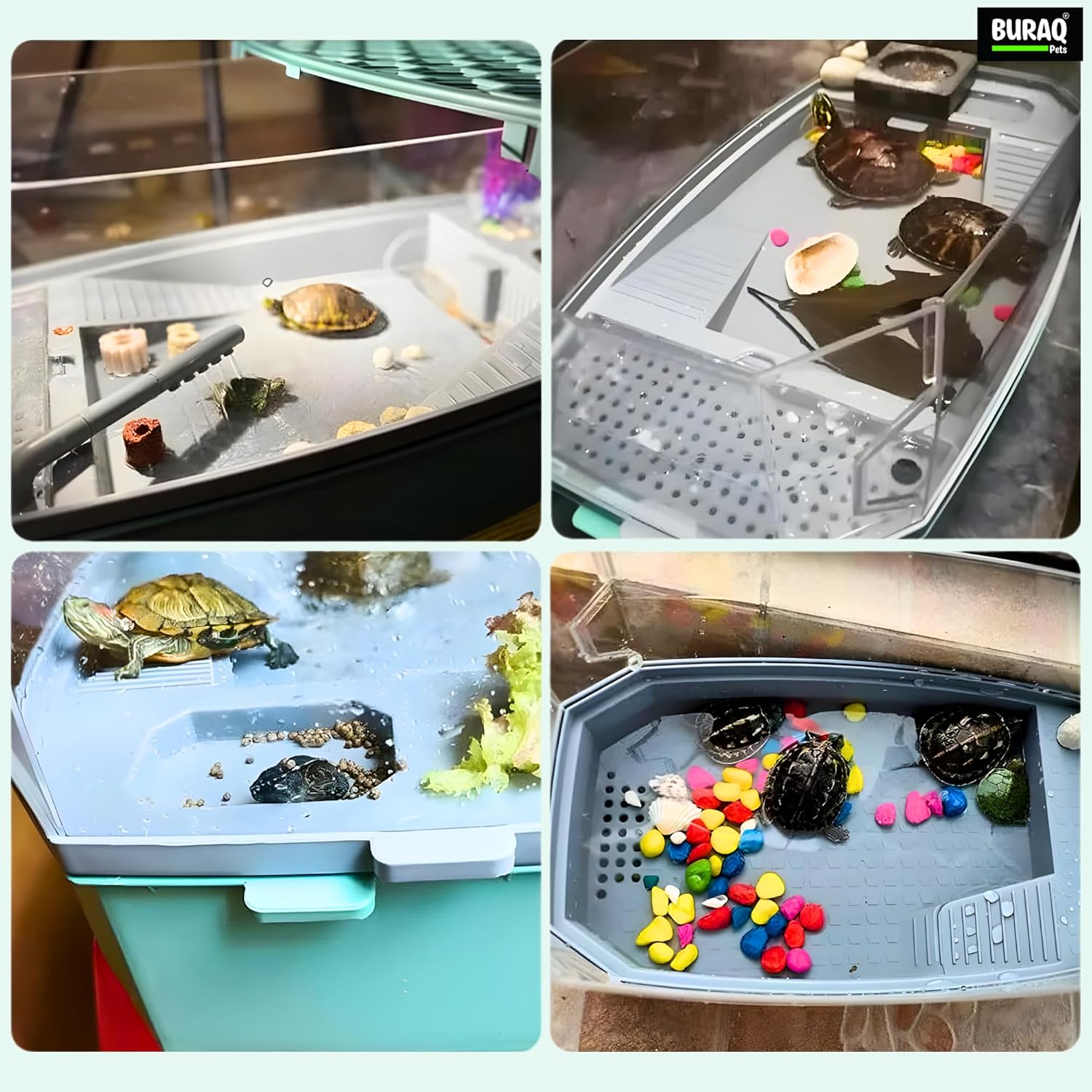 Turtle Tank with Pump, Filter & Basking - Breeding Area - BURAQ PETS