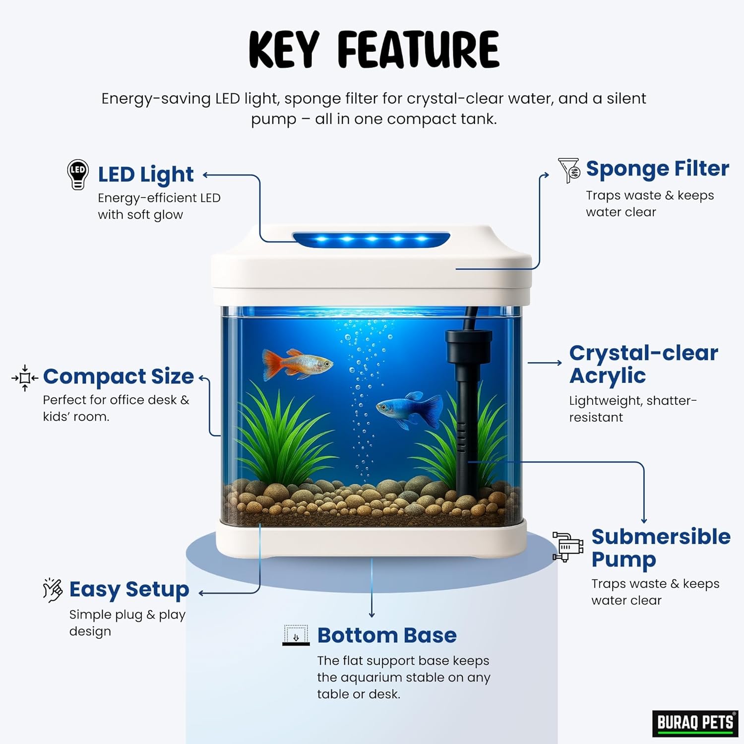 Ultra - Clear Betta Fish Tank with LED Light & Filter - BURAQ PETS