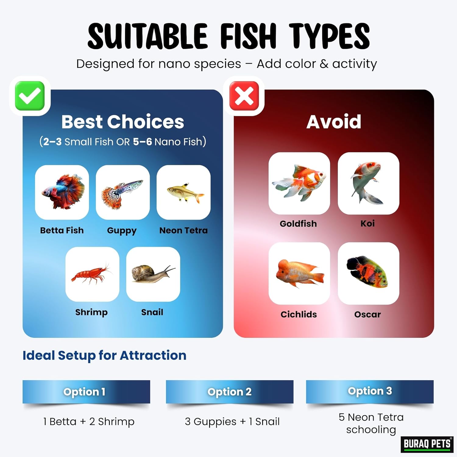 Ultra - Clear Betta Fish Tank with LED Light & Filter - BURAQ PETS