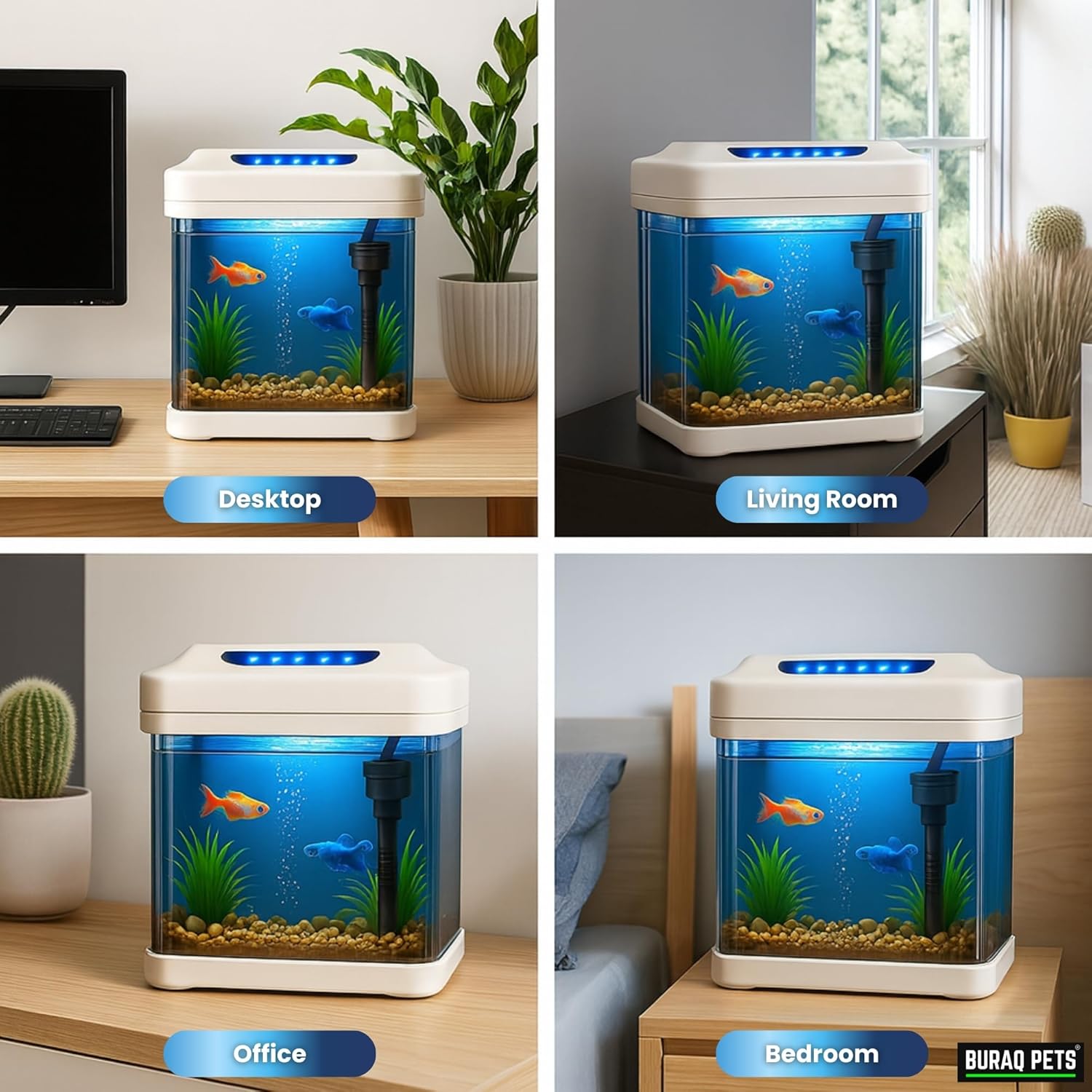 Ultra - Clear Betta Fish Tank with LED Light & Filter - BURAQ PETS
