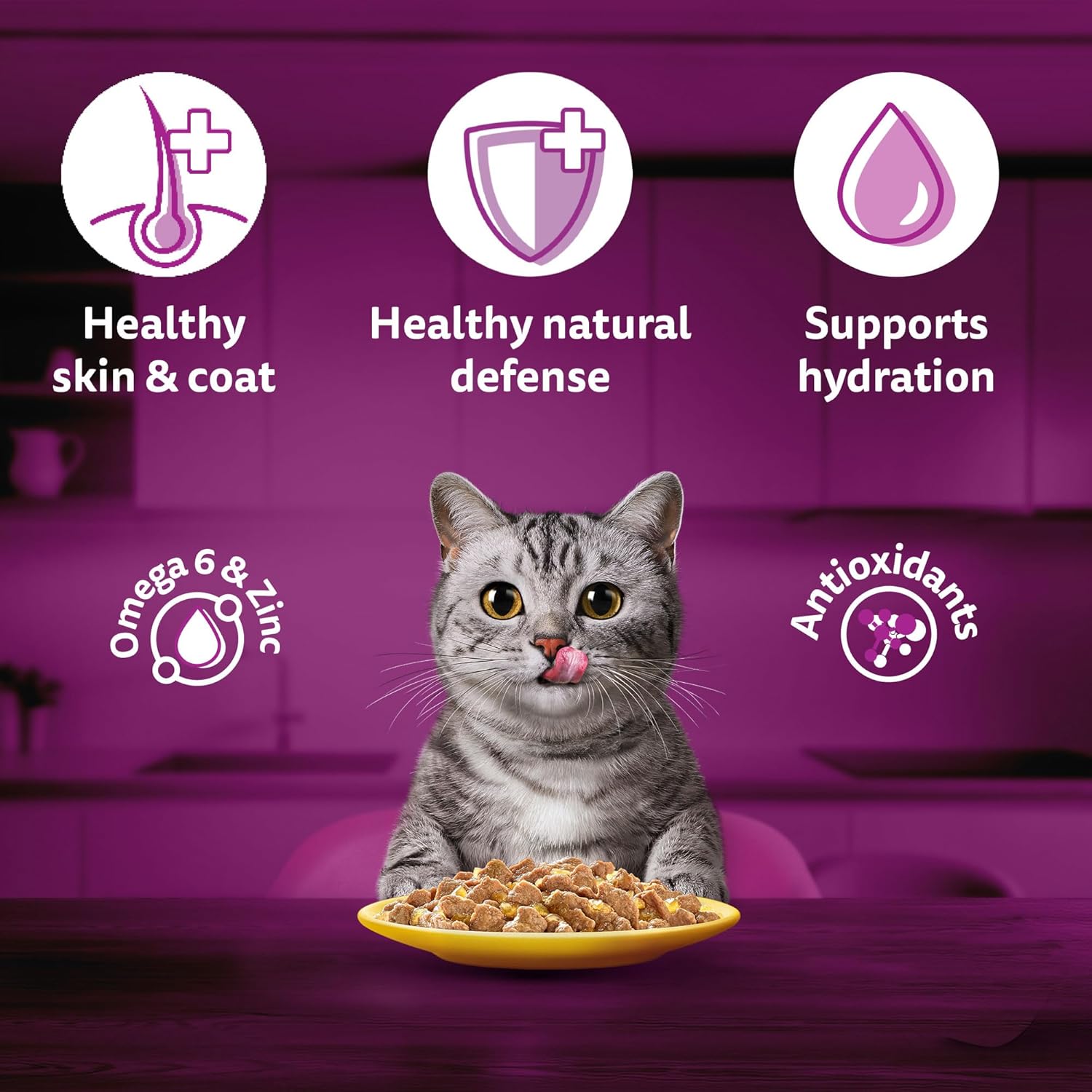 Whiskas Adult Gravy - BURAQ PETS